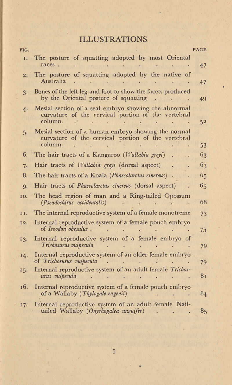 ILLUSTRATIONS FIG. PAGE 1. The posture of squatting adopted by most Oriental races ......... 47 2. The posture of squatting adopted by the native of Australia ........ 47 3. Bones of the left leg and foot to show the facets produced by the Oriental posture of squatting . . .49 4. Mesial section of a seal embryo showing the abnormal curvature of the cervical portion of the vertebral column. . . . . . . .52 5. Mesial section of a human embryo showing the normal curvature of the ceryical portion of the vertebral column. . . . . . . . -53 6. The hair tracts of a Kangaroo ( П а//а6га . . . 63 7. Hair tracts of Wallabia greyi (dorsal aspect) . . 63 8. The hair tracts of a Koala {Phascolarctus cinerens) . . 65 9. Hair tracts of Phascolarctus cinereus (dorsal aspect) , 65 10. The head region of man and a Ring-tailed Opossum {Pseudochirus occidentalis) ..... 68 11. The internal reproductive system of a female monotreme 73 12. Internal reproductive system of a female pouch embryo of Isoodon obesulus . . . . . • • 75 13. Internal reproductive system of a female embryo of Trichosurus vulpécula ...;.. 79 14. Internal reproductive system of an older female embryo of Trichosurus vulpécula . . . . . -79 15. Internal reproductive system of an adult female Trichos¬ urus vulpécula . . . . . . .81 16. Internal reproductive system of a female pouch embryo of a Wallaby ( Thylogale eugenii) .... 84 ' 17. Internal reproductive system of an adult female Nail- tailed Wallaby {Onychogalea uiiguifer) . . . 85 5