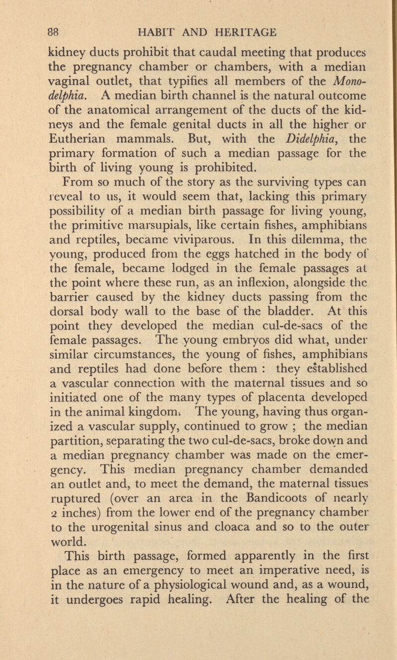 88 HABIT AND HERITAGE kidney ducts prohibit that caudal meeting that produces the pregnancy chamber or chambers, with a median vaginal outlet, that typifies all members of the Mono- delphia, A median birth channel is the natural outcome of the anatomical arrangement of the ducts of the kid¬ neys and the female genital ducts in all the higher or Eutherian mammals. But, with the Didelphia, the primary formation of such a median passage for the birth of living young is prohibited. From so much of the story as the surviving types can reveal to us, it would seem that, lacking this primary possibility of a median birth passage for living young, the primitive marsupials, like certain fishes, amphibians and reptiles, became viviparous. In this dilemma, the young, produced from the eggs hatched in the body of the female, became lodged in the female passages at the point where these run, as an inflexion, alongside the barrier caused by the kidney ducts passing from the dorsal body wall to the base of the bladder. At this point they developed the median cul-de-sacs of the female passages. The young embryos did what, under similar circumstances, the young of fishes, amphibians and reptiles had done before them : they established a vascular connection with the maternal tissues and so initiated one of the many types of placenta developed in the animal kingdom-. The young, having thus organ¬ ized a vascular supply, continued to grow ; the median partition, separating the two cul-de-sacs, broke down and a median pregnancy chamber was made on the emer¬ gency. This median pregnancy chamber demanded an outlet and, to meet the demand, the maternal tissues ruptured (over an area in the Bandicoots of nearly 2 inches) from the lower end of the pregnancy chamber to the urogenital sinus and cloaca and so to the outer world. This birth passage, formed apparently in the first place as an emergency to meet an imperative need, is in the nature of a physiological wound and, as a wound, it undergoes rapid healing. After the healing of the