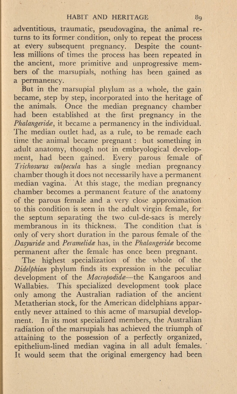 HABIT AND HERITAGE 89 adventitious, traumatic, pseudovagina, the animal re¬ turns to its former condition, only to repeat the process at eVery subsequent pregnancy. Despite the count¬ less millions of times the process has been repeated in the ancient, more primitive and unprogressive mem¬ bers of the marsupials, nothing has been gained as a permanency. But in the marsupial phylum as a whole, the gain became, step by step, incorporated into the heritage of the animals. Once the median pregnancy chamber had been established at the first pregnancy in the Phalangerida, it became a permanency in the individual. The median outlet had, as a rule, to be remade each time the animal became pregnant : but something in adult anatomy, though not in embryological develop¬ ment, had been gained. Every parous female of Trichosurus vulpécula has a single median pregnancy chamber though it does not necessarily have a permanent median vagina. At this stage, the median pregnancy chamber becomes a permanent feature of the anatomy of the parous female and a very close approximation to this condition is seen in the adult virgin female, for the septum separating the two cul-de-sacs is merely membranous in its thickness, The condition that is only of very short duration in the parous female of the Dasyuridß and PeramelidcB has, in the Phalangerida become permanent after the female has once been pregnant. The highest specialization of the whole of the Didelphian phylum finds its expression in the peculiar development of the Macropodida—the Kangaroos and Wallabies. This specialized development took place only among the Australian radiation of the ancient Metatherian stock, for the American didelphians appar¬ ently never attained to this acme of marsupial develop¬ ment. In its most specialized members, the Australian radiation of the marsupials has achieved the triumph of attaining to the possession of a perfectly organized, epithelium-lined median vagina in all adult females. It would seem that the original emergency had been