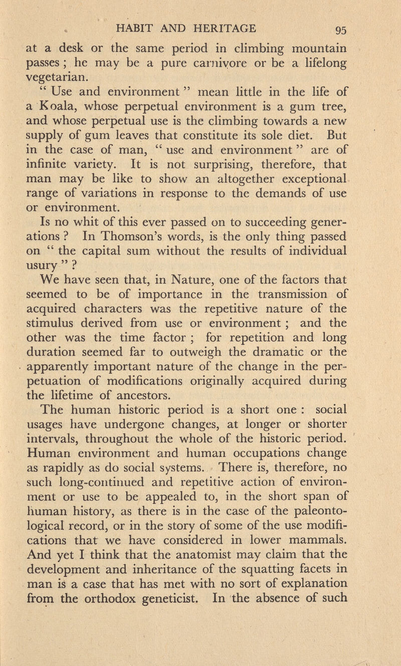 HABIT AND HERITAGE 95 at a desk or the same period in climbing mountain passes ; he may be a pure carnivore or be a Kfelong vegetarian.  Use and environment  mean Httle in the Hfe of a Koala, whose perpetual environment is a gum tree, and whose perpetual use is the climbing towards a new supply of gum leaves that constitute its sole diet. But in the case of man,  use and environment  are of infinite variety. It is not surprising, therefore, that man may be like to show an altogether exceptional, range of variations in response to the demands of use or environment. Is no whit of this ever passed on to succeeding gener¬ ations ? In Thomson's words, is the only thing passed on  the capital sum without the results of individual usury  ? We have seen that, in Nature, one of the factors that seemed to be of importance in the transmission of acquired characters was the repetitive nature of the stimulus derived from use or environment ; and the other was the time factor ; for repetition and long duration seemed far to outweigh the dramatic or the apparently important nature of the change in the per¬ petuation of modifications originally acquired during the lifetime of ancestors. The human historic period is a short one : social usages have undergone changes, at longer or shorter intervals, throughout the whole of the historic period. Human environment and human occupations change as rapidly as do social systems. There is, therefore, no such long-continued and repetitive action of environ¬ ment or use to be appealed to, in the short span of human history, as there is in the case of the paleonto- logical record, or in the story of some of the use modifi¬ cations that we have considered in lower mammals. And yet I think that the anatomist may claim that the development and inheritance of the squatting facets in man is a case that has met with no sort of explanation from the orthodox geneticist. In the absence of such