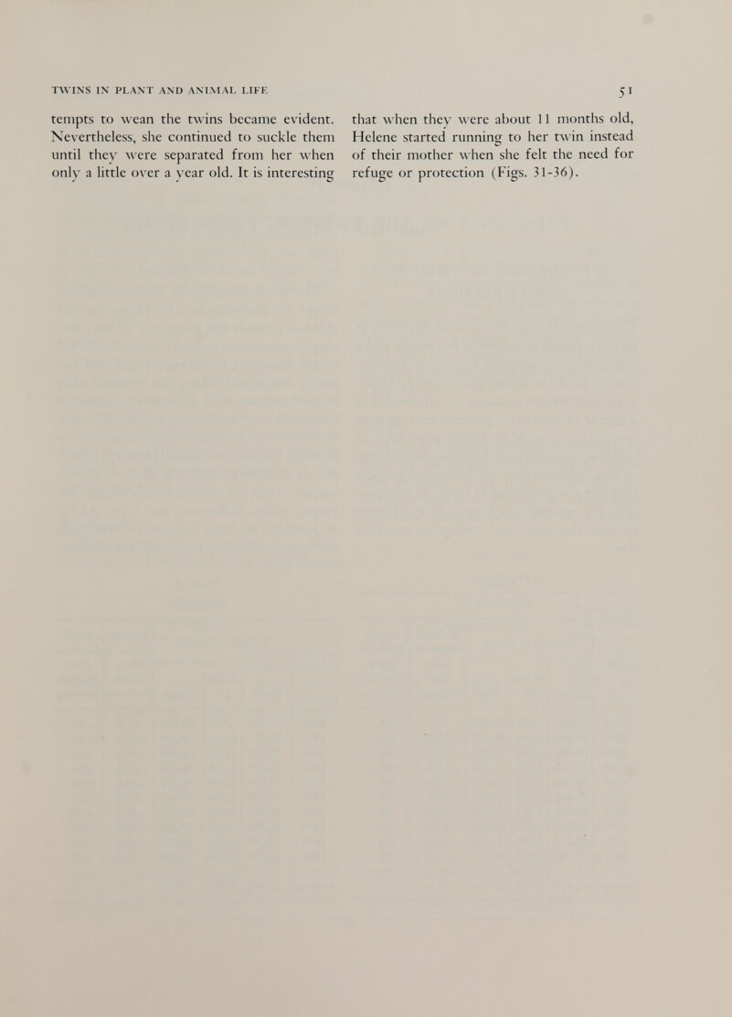 TWINS IN PLANT AND ANIMAL LIFE tempts to wean the twins became evident. Nevertheless, she continued to suckle them until they were separated from her when only a little over a year old. It is interesting 51 that when they were about 11 months old, Helene started running to her twin instead of their mother when she felt the need for refuge or protection (Figs. 31-36).