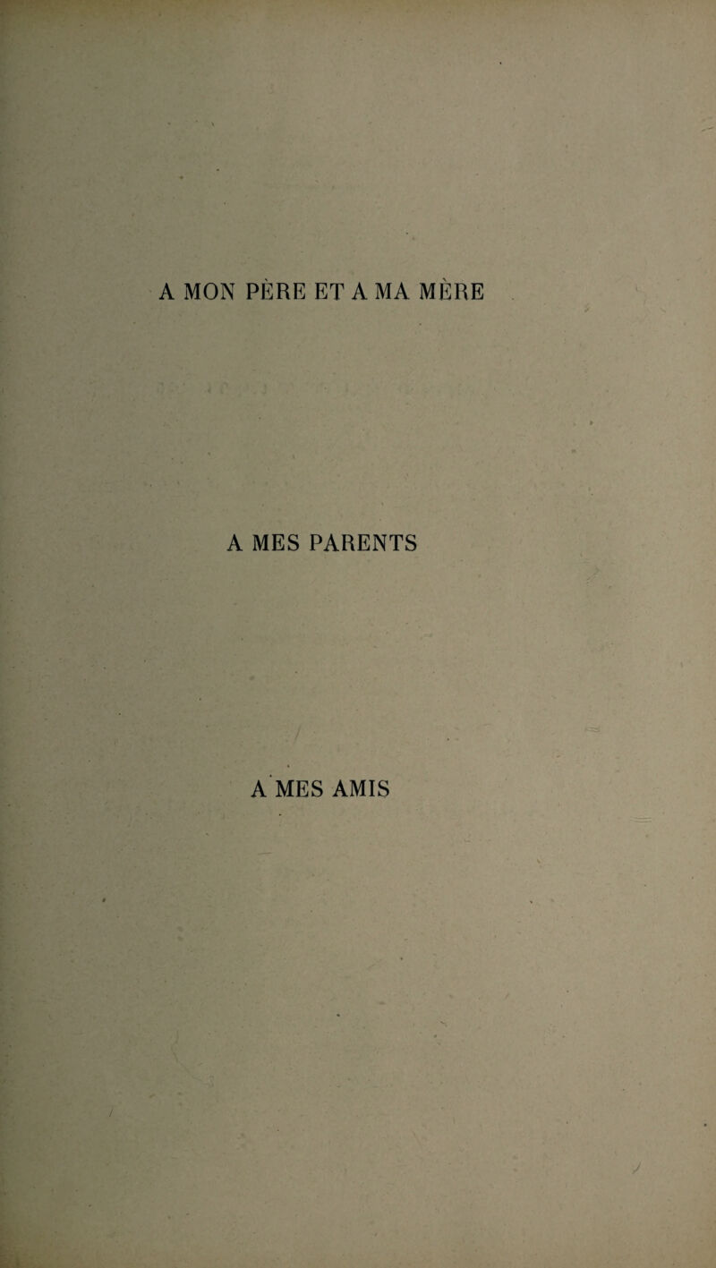 A MON PÈRE ET A MA MÈRE A MES PARENTS A MES AMIS