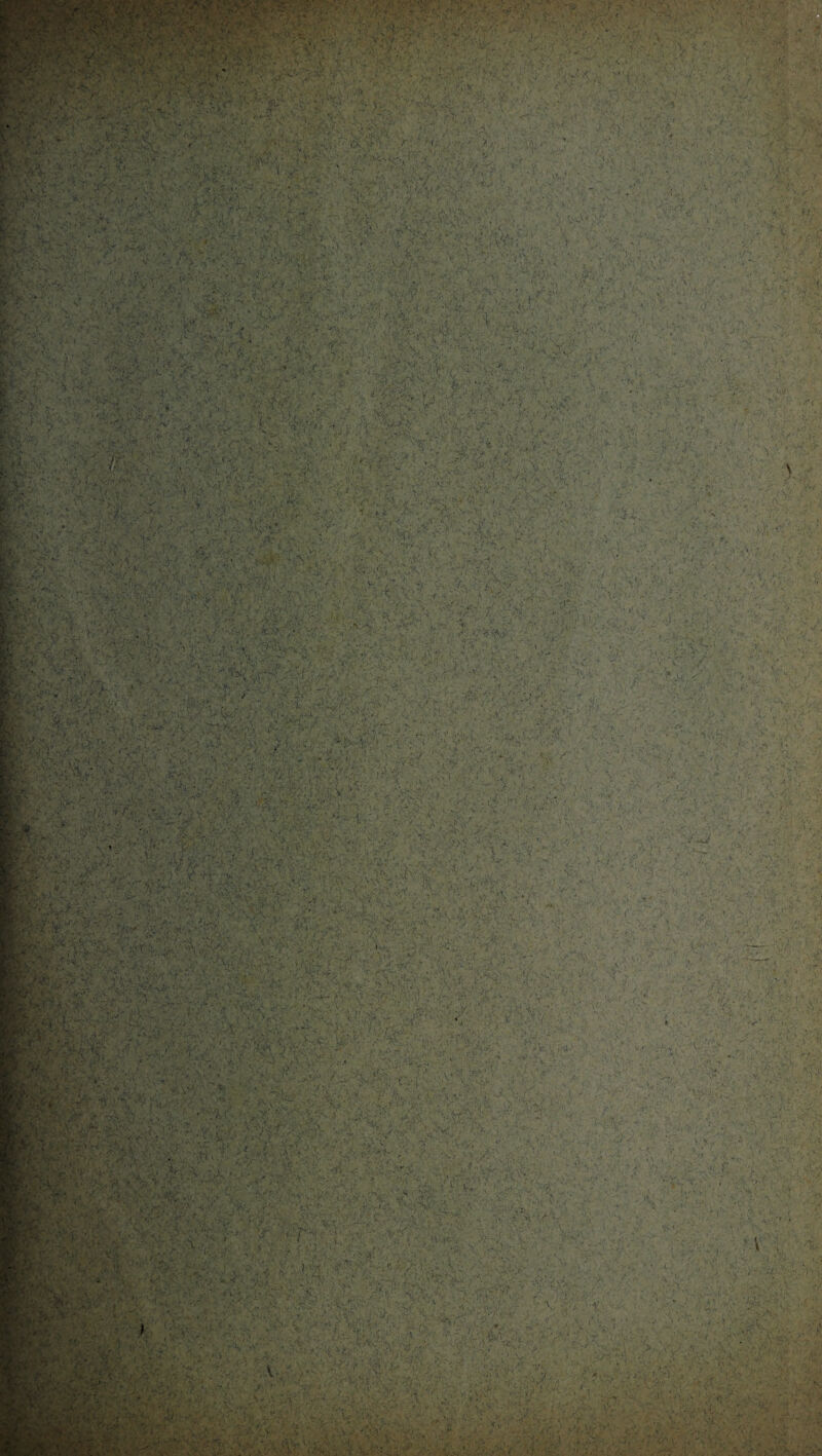 • . • ■ :■ ■ < ■ ■ ' . : ..