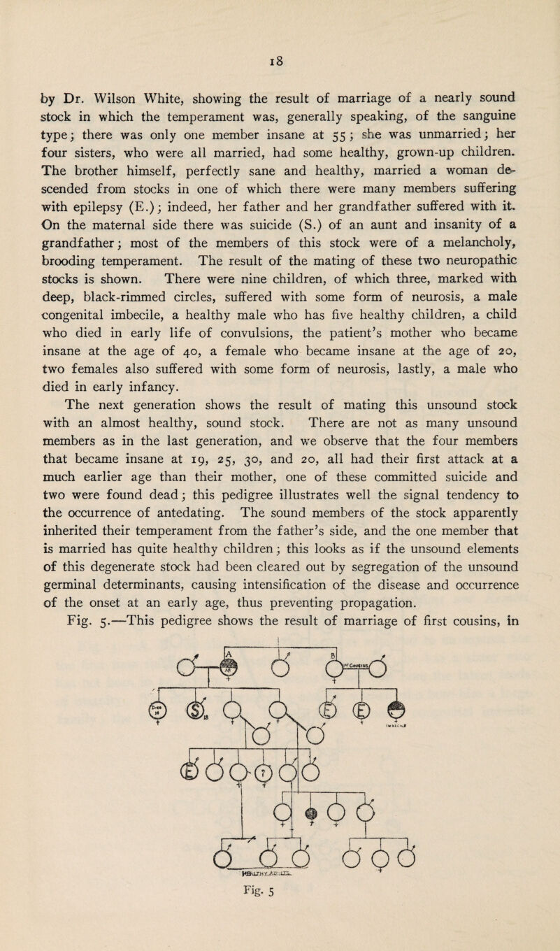 by Dr. Wilson White, showing the result of marriage of a nearly sound stock in which the temperament was, generally speaking, of the sanguine type; there was only one member insane at 55; she was unmarried; her four sisters, who were all married, had some healthy, grown-up children. The brother himself, perfectly sane and healthy, married a woman de¬ scended from stocks in one of which there were many members suffering with epilepsy (E.); indeed, her father and her grandfather suffered with it. On the maternal side there was suicide (S.) of an aunt and insanity of a grandfather; most of the members of this stock were of a melancholy, brooding temperament. The result of the mating of these two neuropathic stocks is shown. There were nine children, of which three, marked with deep, black-rimmed circles, suffered with some form of neurosis, a male congenital imbecile, a healthy male who has five healthy children, a child who died in early life of convulsions, the patient’s mother who became insane at the age of 40, a female who became insane at the age of 20, two females also suffered with some form of neurosis, lastly, a male who died in early infancy. The next generation shows the result of mating this unsound stock with an almost healthy, sound stock. There are not as many unsound members as in the last generation, and we observe that the four members that became insane at 19, 25, 30, and 20, all had their first attack at a much earlier age than their mother, one of these committed suicide and two were found dead; this pedigree illustrates well the signal tendency to the occurrence of antedating. The sound members of the stock apparently inherited their temperament from the father’s side, and the one member that is married has quite healthy children; this looks as if the unsound elements of this degenerate stock had been cleared out by segregation of the unsound germinal determinants, causing intensification of the disease and occurrence of the onset at an early age, thus preventing propagation. Fig. 5.—This pedigree shows the result of marriage of first cousins, in