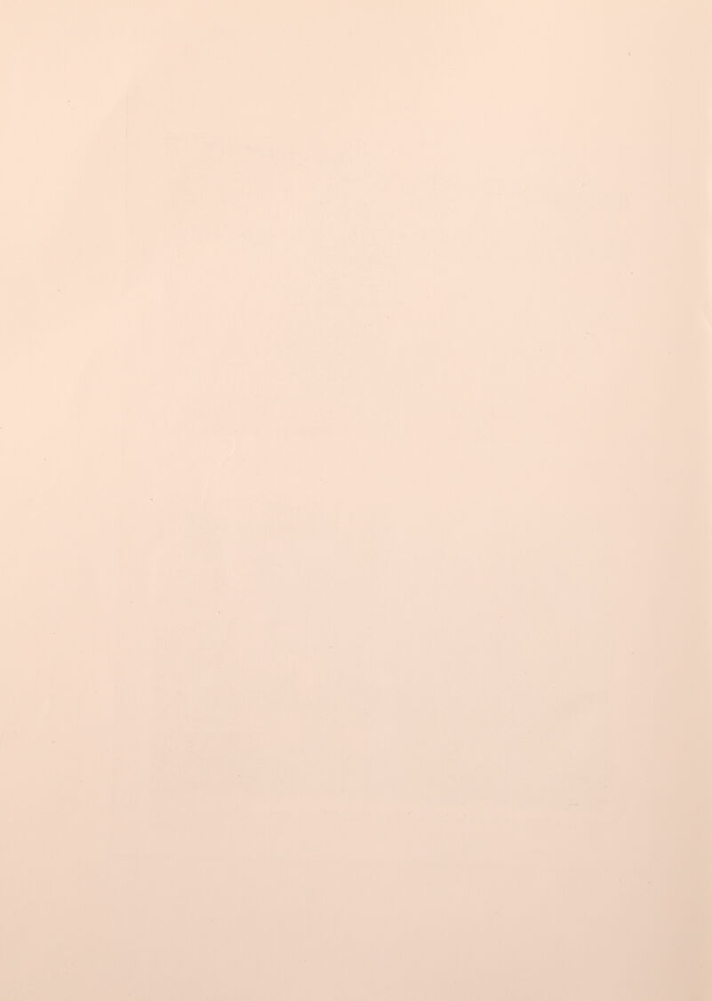 „, ■> ♦** ' , -ь ж^-^ ' -t»,- Í > » . , ' •^^'' î:^f -íf^t^if^^.^í Â-ïî -^ ^»- •• ^ 1 ^ ^•^'йз' V , ^4 Т ^ ^ ^s У ^ ' |ДÍ--- M 'Д.у.- ^ -VI. U fi