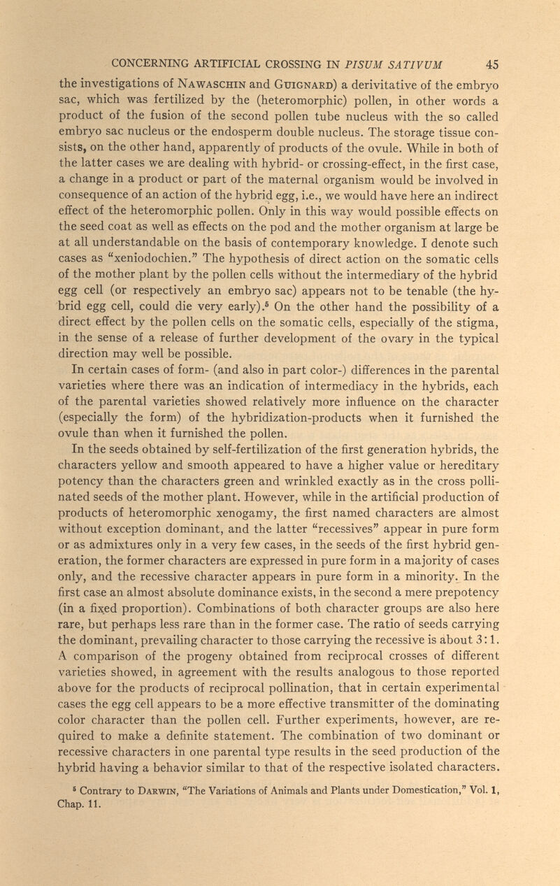 CONCERNING ARTIFICIAL CROSSING IN PISUM SATIVUM 45 the investigations of Nawaschin and Guignard) a derivitative of the embryo sac, which was fertilized by the (heteromorphic) pollen, in other words a product of the fusion of the second pollen tube nucleus with the so called embryo sac nucleus or the endosperm double nucleus. The storage tissue con¬ sists, on the other hand, apparently of products of the ovule. While in both of the latter cases we are dealing with hybrid- or crossing-effect, in the first case, a change in a product or part of the maternal organism would be involved in consequence of an action of the hybrid egg, i.e., we would have here an indirect effect of the heteromorphic pollen. Only in this way would possible effects on the seed coat as well as effects on the pod and the mother organism at large be at all understandable on the basis of contemporary knowledge. I denote such cases as xeniodochien. The hypothesis of direct action on the somatic cells of the mother plant by the pollen cells without the intermediary of the hybrid egg cell (or respectively an embryo sac) appears not to be tenable (the hy¬ brid egg cell, could die very early).® On the other hand the possibility of a direct effect by the pollen cells on the somatic cells, especially of the stigma, in the sense of a release of further development of the ovary in the typical direction may well be possible. In certain cases of form- (and also in part color-) differences in the parental varieties where there was an indication of intermediacy in the hybrids, each of the parental varieties showed relatively more inñuence on the character (especially the form) of the hybridization-products when it furnished the ovule than when it furnished the pollen. In the seeds obtained by self-fertilization of the first generation hybrids, the characters yellow and smooth appeared to have a higher value or hereditary potency than the characters green and wrinkled exactly as in the cross polli¬ nated seeds of the mother plant. However, while in the artificial production of products of heteromorphic xenogamy, the first named characters are almost without exception dominant, and the latter récessives appear in pure form or as admixtures only in a very few cases, in the seeds of the first hybrid gen¬ eration, the former characters are expressed in pure form in a majority of cases only, and the recessive character appears in pure form in a minority. In the first case an almost absolute dominance exists, in the second a mere prepotency (in a fixed proportion). Combinations of both character groups are also here rare, but perhaps less rare than in the former case. The ratio of seeds carrying the dominant, prevailing character to those carrying the recessive is about 3:1. A comparison of the progeny obtained from reciprocal crosses of different varieties showed, in agreement with the results analogous to those reported above for the products of reciprocal pollination, that in certain experimental cases the egg cell appears to be a more effective transmitter of the dominating color character than the pollen cell. Further experiments, however, are re¬ quired to make a definite statement. The combination of two dominant or recessive characters in one parental type results in the seed production of the hybrid having a behavior similar to that of the respective isolated characters. ® Contrary to Darwin, The Variations of Animals and Plants under Domestication, Vol. 1, Chap. 11.
