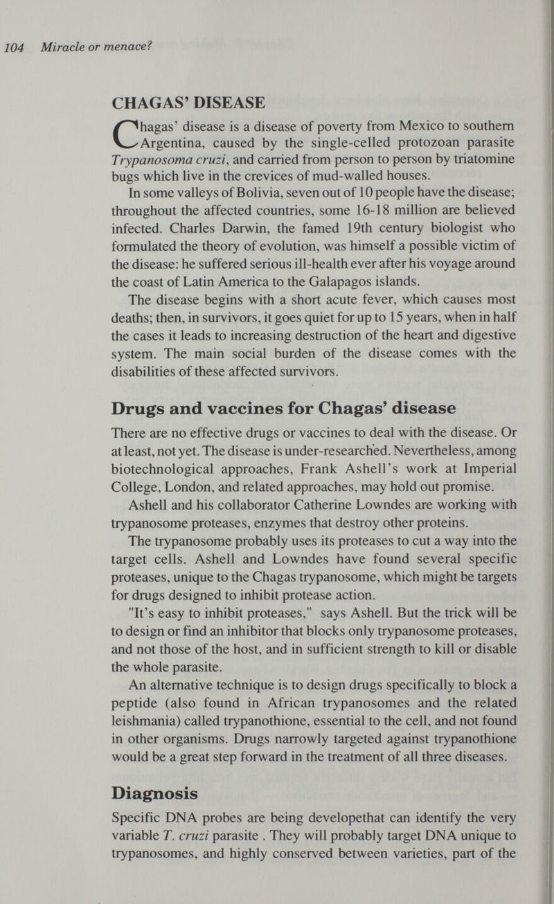 104 Miracle or menaceì CHAGAS' DISEASE Chagas' disease is a disease of poverty from Mexico to southern Argentina, caused by the single-celled protozoan parasite Trypanosoma cruzi, and carried from person to person by triatomine bugs which live in the crevices of mud-walled houses. In some valleys of Bolivia, seven out of 10 people have the disease; throughout the affected countries, some 16-18 million are believed infected. Charles Darwin, the famed 19th century biologist who formulated the theory of evolution, was himself a possible victim of the disease: he suffered serious ill-health ever after his voyage around the coast of Latin America to the Galapagos islands. The disease begins with a short acute fever, which causes most deaths; then, in survivors, it goes quiet for up to 15 years, when in half the cases it leads to increasing destruction of the heart and digestive system. The main social burden of the disease comes with the disabilities of these affected survivors. Drugs and vaccines for Chagas' disease There are no effective drugs or vaccines to deal with the disease. Or at least, not yet. The disease is under-researched. Nevertheless, among biotechnological approaches, Frank Ashell's work at Imperial College, London, and related approaches, may hold out promise. Ashell and his collaborator Catherine Lowndes are working with trypanosome proteases, enzymes that destroy other proteins. The trypanosome probably uses its proteases to cut a way into the target cells. Ashell and Lowndes have found several specific proteases, unique to the Chagas trypanosome, which might be targets for drugs designed to inhibit protease action. It's easy to inhibit proteases, says Ashell. But the trick will be to design or find an inhibitor that blocks only trypanosome proteases, and not those of the host, and in sufficient strength to kill or disable the whole parasite. An alternative technique is to design drugs specifically to block a peptide (also found in African trypanosomes and the related leishmania) called trypanothione, essential to the cell, and not found in other organisms. Drugs narrowly targeted against trypanothione would be a great step forward in the treatment of all three diseases. Diagnosis Specific DNA probes are being developethat can identify the very variable T. cruzi parasite . They will probably target DNA unique to trypanosomes, and highly conserved between varieties, part of the