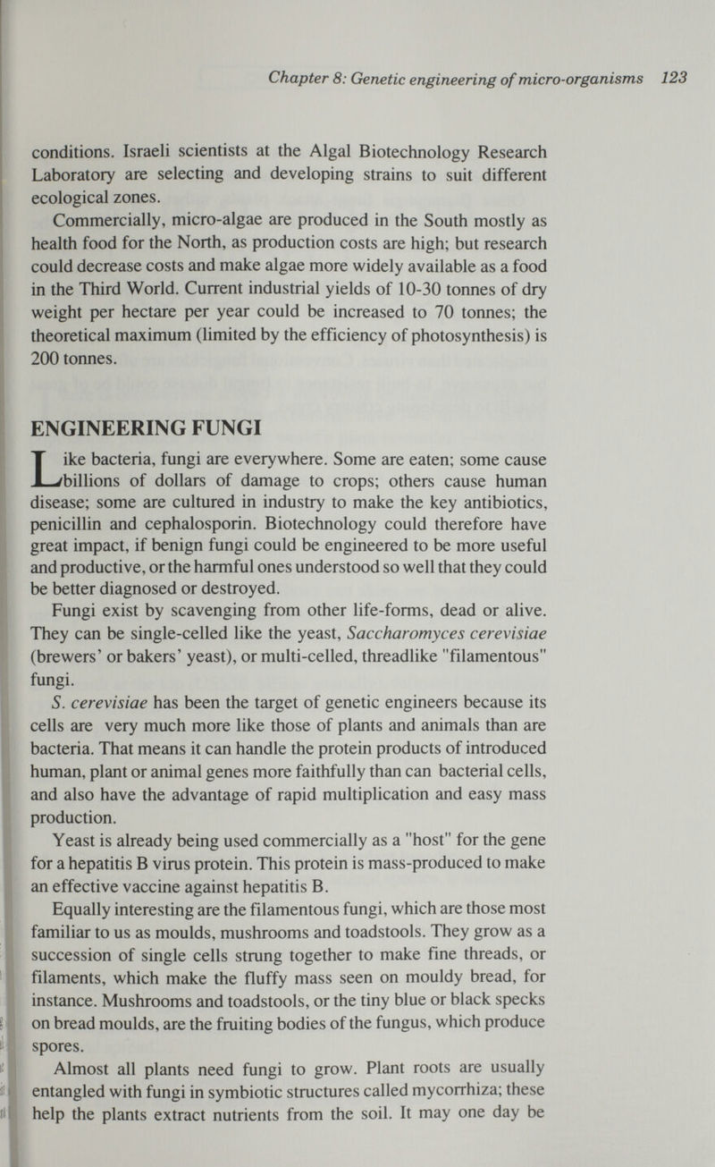 Chapter 8: Genetic engineering of micro-organisms 123 conditions. Israeli scientists at the Algal Biotechnology Research Laboratory are selecting and developing strains to suit different ecological zones. Commercially, micro-algae are produced in the South mostly as health food for the North, as production costs are high; but research could decrease costs and make algae more widely available as a food in the Third World. Current industrial yields of 10-30 tonnes of dry weight per hectare per year could be increased to 70 tonnes; the theoretical maximum (limited by the efficiency of photosynthesis) is 200 tonnes. ENGINEERING FUNGI Like bacteria, fungi are everywhere. Some are eaten; some cause billions of dollars of damage to crops; others cause human disease; some are cultured in industry to make the key antibiotics, penicillin and cephalosporin. Biotechnology could therefore have great impact, if benign fungi could be engineered to be more useful and productive, or the harmful ones understood so well that they could be better diagnosed or destroyed. Fungi exist by scavenging from other life-forms, dead or alive. They can be single-celled like the yeast, Saccharomyces cerevisiae (brewers' or bakers' yeast), or multi-celled, threadlike filamentous fungi. S. cerevisiae has been the target of genetic engineers because its cells are very much more like those of plants and animals than are bacteria. That means it can handle the protein products of introduced human, plant or animal genes more faithfully than can bacterial cells, and also have the advantage of rapid multiplication and easy mass production. Yeast is already being used commercially as a host for the gene for a hepatitis В virus protein. This protein is mass-produced to make an effective vaccine against hepatitis B. Equally interesting are the filamentous fungi, which are those most familiar to us as moulds, mushrooms and toadstools. They grow as a succession of single cells strung together to make fine threads, or filaments, which make the fluffy mass seen on mouldy bread, for instance. Mushrooms and toadstools, or the tiny blue or black specks on bread moulds, are the fruiting bodies of the fungus, which produce spores. Almost all plants need fungi to grow. Plant roots are usually entangled with fungi in symbiotic structures called mycorrhiza; these help the plants extract nutrients from the soil. It may one day be