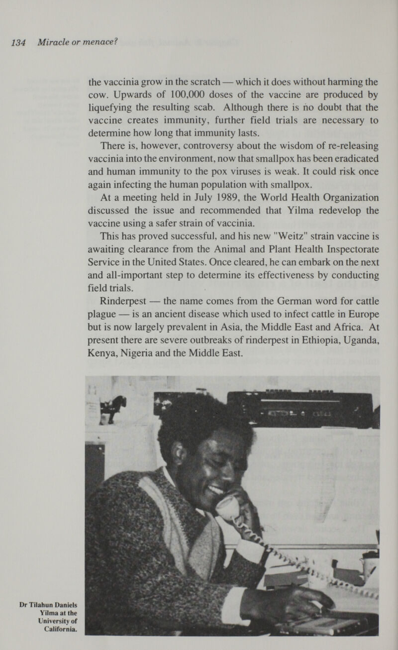 134 Miracle or menaced the vaccinia grow in the scratch — which it does without harming the cow. Upwards of 100,000 doses of the vaccine are produced by hquefying the resuUing scab. Although there is ño doubt that the vaccine creates immunity, further field trials are necessary to determine how long that immunity lasts. There is, however, controversy about the wisdom of re-releasing vaccinia into the environment, now that smallpox has been eradicated and human immunity to the pox viruses is weak. It could risk once again infecting the human population with smallpox. At a meeting held in July 1989, the World Health Organization discussed the issue and recommended that Yilma redevelop the vaccine using a safer strain of vaccinia. This has proved successful, and his new Weitz strain vaccine is awaiting clearance from the Animal and Plant Health Inspectorate Service in the United States. Once cleared, he can embark on the next and all-important step to determine its effectiveness by conducting field trials. Rindeфest — the name comes from the German word for cattle plague — is an ancient disease which used to infect cattle in Europe but is now largely prevalent in Asia, the Middle East and Africa. At present there are severe outbreaks of rindeфest in Ethiopia, Uganda, Kenya, Nigeria and the Middle East.