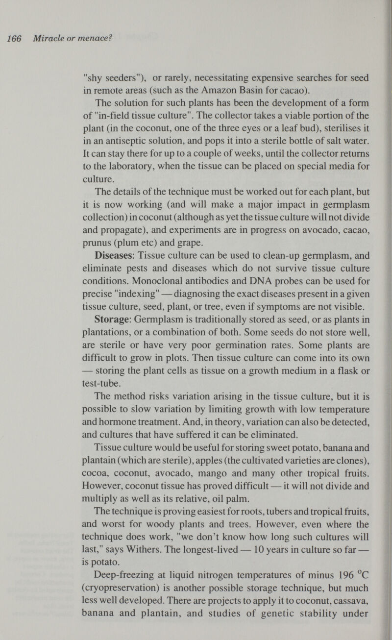 166 Miracle or menaceì shy seeders), or rarely, necessitating expensive searches for seed in remote areas (such as the Amazon Basin for cacao). The solution for such plants has been the development of a form of in-field tissue culture. The collector takes a viable portion of the plant (in the coconut, one of the three eyes or a leaf bud), sterilises it in an antiseptic solution, and pops it into a sterile bottle of salt water. It can stay there for up to a couple of weeks, until the collector returns to the laboratory, when the tissue can be placed on special media for culture. The details of the technique must be worked out for each plant, but it is now working (and will make a major impact in germplasm collection) in coconut (although as yet the tissue culture will not divide and propagate), and experiments are in progress on avocado, cacao, prunus (plum etc) and grape. Diseases: Tissue culture can be used to clean-up germplasm, and eliminate pests and diseases which do not survive tissue culture conditions. Monoclonal antibodies and DNA probes can be used for precise indexing — diagnosing the exact diseases present in a given tissue culture, seed, plant, or tree, even if symptoms are not visible. Storage: Germplasm is traditionally stored as seed, or as plants in plantations, or a combination of both. Some seeds do not store well, are sterile or have very poor germination rates. Some plants are difficult to grow in plots. Then tissue culture can come into its own — storing the plant cells as tissue on a growth medium in a flask or test-tube. The method risks variation arising in the tissue culture, but it is possible to slow variation by limiting growth with low temperature and hormone treatment. And, in theory, variation can also be detected, and cultures that have suffered it can be eliminated. Tissue culture would be useful for storing sweet potato, banana and plantain (which are sterile), apples (the cultivated varieties are clones), cocoa, coconut, avocado, mango and many other tropical fruits. However, coconut tissue has proved difficult — it will not divide and multiply as well as its relative, oil palm. The technique is proving easiest for roots, tubers and tropical fruits, and worst for woody plants and trees. However, even where the technique does work, we don't know how long such cultures will last, says Withers. The longest-lived — 10 years in culture so far — is potato. Deep-freezing at liquid nitrogen temperatures of minus 196 °C (cryopreservation) is another possible storage technique, but much less well developed. There are projects to apply it to coconut, cassava, banana and plantain, and studies of genetic stability under