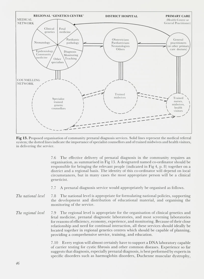 Fig 13. Proposed organisation of community prenatal diagnosis services. Solid lines represent the medical referral system; the dotted lines indicate the importance of specialist counsellors and of trained midwives and health visitors, in delivering the service. 7.6 The effective delivery of prenatal diagnosis in the community requires an organisation, as summarised in Fig 13. A designated named co-ordinator should be responsible for bringing the relevant people (indicated in Fig 4, p. 8) together on a district and a regional basis. The identity of this co-ordinator will depend on local circumstances, but in many cases the most appropriate person will be a clinical geneticist. 7.7 A prenatal diagnosis service would appropriately be organised as follows. The national level 7.8 The national level is appropriate for formulating national policies, supporting the development and distribution of educational material, and organising the monitoring of the service. The regional level 7.9 The regional level is appropriate for the organisation of clinical genetics and fetal medicine, prenatal diagnostic laboratories, and most screening laboratories for reasons of efficiency, economy, experience, and monitoring. Because of their close relationship and need for continual interaction, all these services should ideally be located together in regional genetics centres which should be capable of planning, providing a comprehensive service, training, and education. 7.10 Every region will almost certainly have to support a DNA laboratory capable of carrier testing for cystic fibrosis and other common diseases. Experience so far suggests that diagnosis, especially prenatal diagnosis, is best performed by experts in specific disorders such as haemoglobin disorders, Duchenne muscular dystrophy,