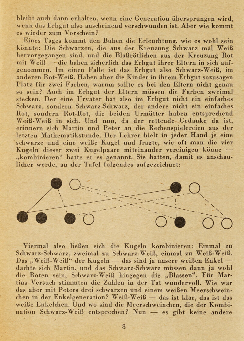 bleibt auch dann erhalten, wenn eine Generation übersprungen wird, wenn das Erbgut also anscheinend verschwunden ist. Aber wie kommt es wieder zum Vorschein? Eines Tages kommt den Buben die Erleuchtung, wie es wohl sein könnte: Die Schwarzen, die aus der Kreuzung Schwarz mal Weiß hervorgegangen sind, und die Blaßrötlichen aus der Kreuzung Rot mit Weiß — die haben sicherlich das Erbgut ihrer Eltern in sich auf¬ genommen. Im einen Falle ist das Erbgut also Schwarz-Weiß, im anderen Rot-Weiß. Haben aber die Kinder in ihrem Erbgut sozusagen Platz für zwei Farben, warum sollte es bei den Eltern nicht genau so sein? Auch im Erbgut der Eltern müssen die Farben zweimal stecken. Der eine Urvater hat also im Erbgut nicht ein einfaches Schwarz, sondern Schwarz-Schwarz, der andere nicht ein einfaches Rot, sondern Rot-Rot, die beiden Urmütter haben entsprechend Weiß-Weiß in sich. Und nun, da der rettende Gedanke da ist, erinnern sich Martin und Peter an die Rechenspielereien aus der letzten Mathematikstunde. Der Lehrer hielt in jeder Hand je eine schwarze und eine weiße Kugel und fragte, wie oft man die vier Kugeln dieser zwei Kugelpaare miteinander vereinigen könne — „kombinieren hatte er es genannt. Sie hatten, damit es anschau¬ licher werde, an der Tafel folgendes aufgezeichnet: Viermal also ließen sich die Kugeln kombinieren: Einmal zu Schwarz-Schwarz, zweimal zu Schwarz-Weiß, einmal zu Weiß-Weiß. Das „Weiß-Weiß der Kugeln — das sind ja unsere weißen Enkel — dachte sich Martin, und das Schwarz-Schwarz müssen dann ja wohl die Roten sein, Schwarz-Weiß hingegen die „Blassen. Für Mar¬ tins Versuch stimmten die Zahlen in der Tat wundervoll. Wie war das aber mit Peters drei schwarzen und einem weißen Meerschwein¬ chen in der Enkelgeneration? Weiß-Weiß — das ist klar, das ist das weiße Enkelchen. Und wo sind die Meerschweinchen, die der Kombi¬ nation Schwarz-Weiß entsprechen? Nun — es gibt keine andere