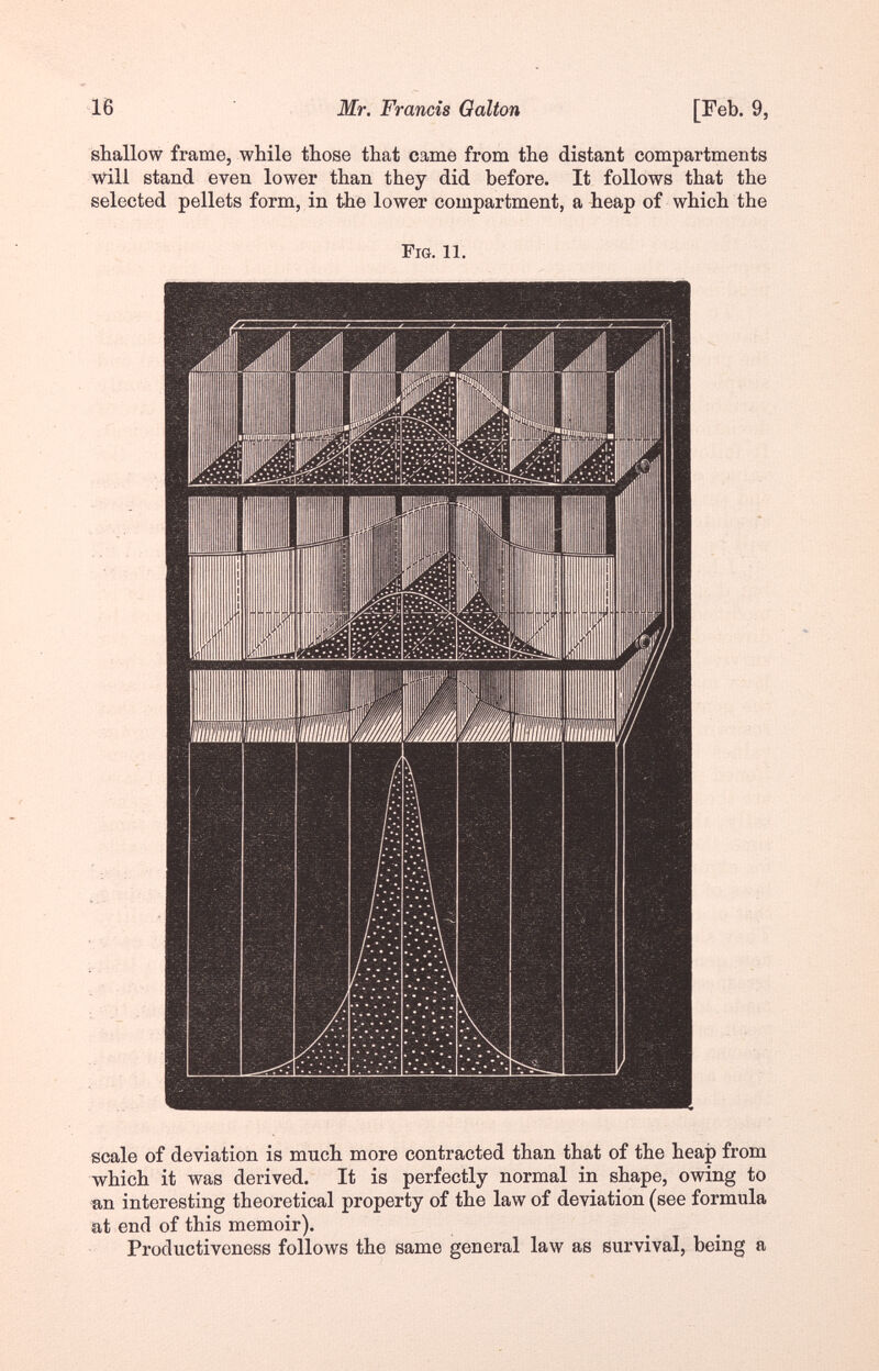 IB Mr. Francis Galton [Feb. 9, shallow frame, while those that came from the distant compartments will stand even lower than they did before. It follows that the selected pellets form, in the lower compartment, a heap of which the Fig. 11. scale of deviation is much more contracted than that of the heap from which it was derived. It is perfectly normal in shape, owing to an interesting theoretical property of the law of deviation (see formula at end of this memoir). Productiveness follows the same general law as survival, being a