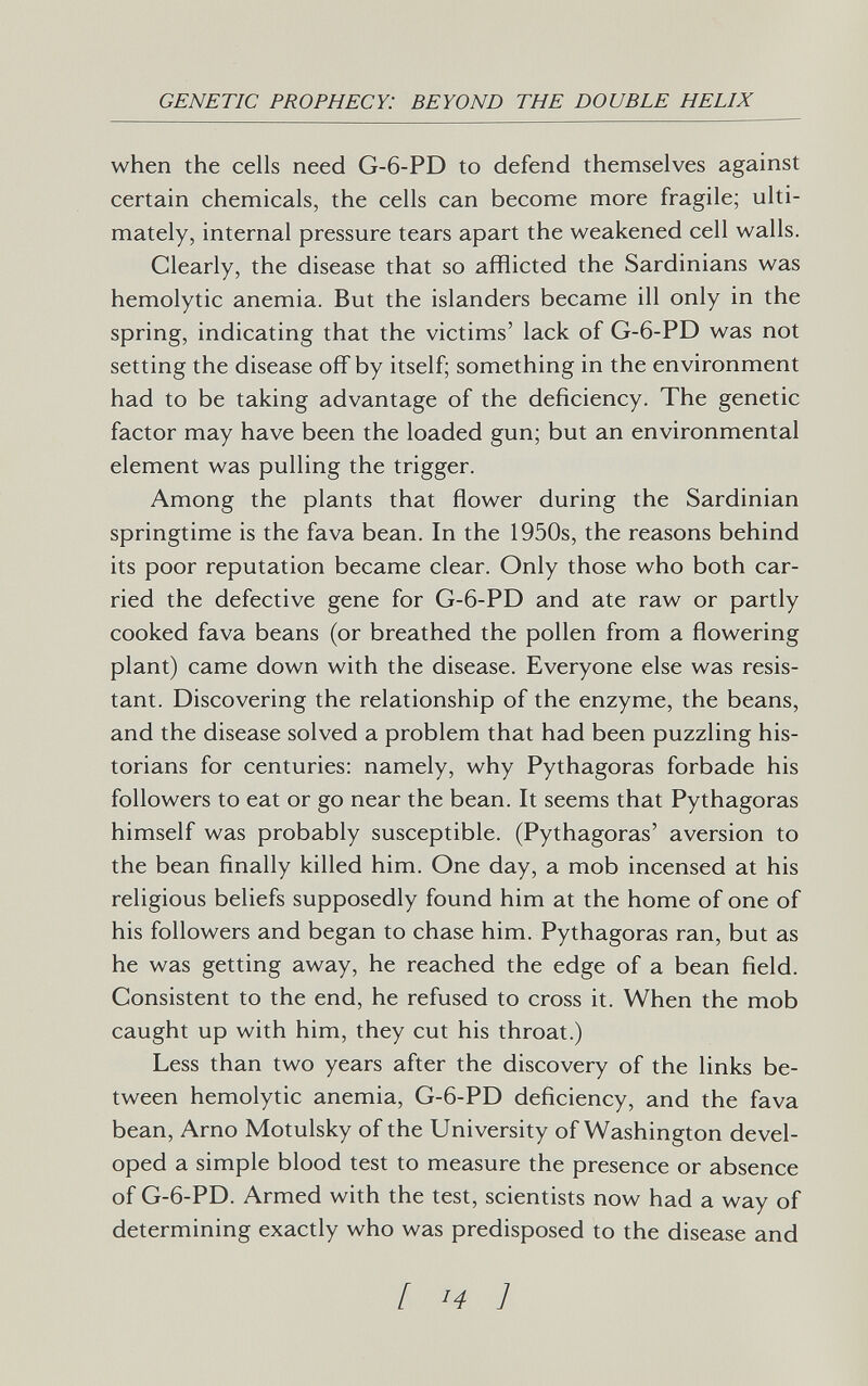 GENETIC PROPHECY: BEYOND THE DOUBLE HELIX when the cells need G-6-PD to defend themselves against certain chemicals, the cells can become more fragile; ulti¬ mately, internal pressure tears apart the weakened ceil walls. Clearly, the disease that so afflicted the Sardinians was hemolytic anemia. But the islanders became ill only in the spring, indicating that the victims' lack of G-6-PD was not setting the disease off by itself; something in the environment had to be taking advantage of the deficiency. The genetic factor may have been the loaded gun; but an environmental element was pulling the trigger. Among the plants that flower during the Sardinian springtime is the fava bean. In the 1950s, the reasons behind its poor reputation became clear. Only those who both car¬ ried the defective gene for G-6-PD and ate raw or partly cooked fava beans (or breathed the pollen from a flowering plant) came down with the disease. Everyone else was resis¬ tant. Discovering the relationship of the enzyme, the beans, and the disease solved a problem that had been puzzling his¬ torians for centuries: namely, why Pythagoras forbade his followers to eat or go near the bean. It seems that Pythagoras himself was probably susceptible. (Pythagoras' aversion to the bean finally killed him. One day, a mob incensed at his religious beliefs supposedly found him at the home of one of his followers and began to chase him. Pythagoras ran, but as he was getting away, he reached the edge of a bean field. Consistent to the end, he refused to cross it. When the mob caught up with him, they cut his throat.) Less than two years after the discovery of the links be¬ tween hemolytic anemia, G-6-PD deficiency, and the fava bean. Arno Motulsky of the University of Washington devel¬ oped a simple blood test to measure the presence or absence of G-6-PD. Armed with the test, scientists now had a way of determining exactly who was predisposed to the disease and [ -4 Ì