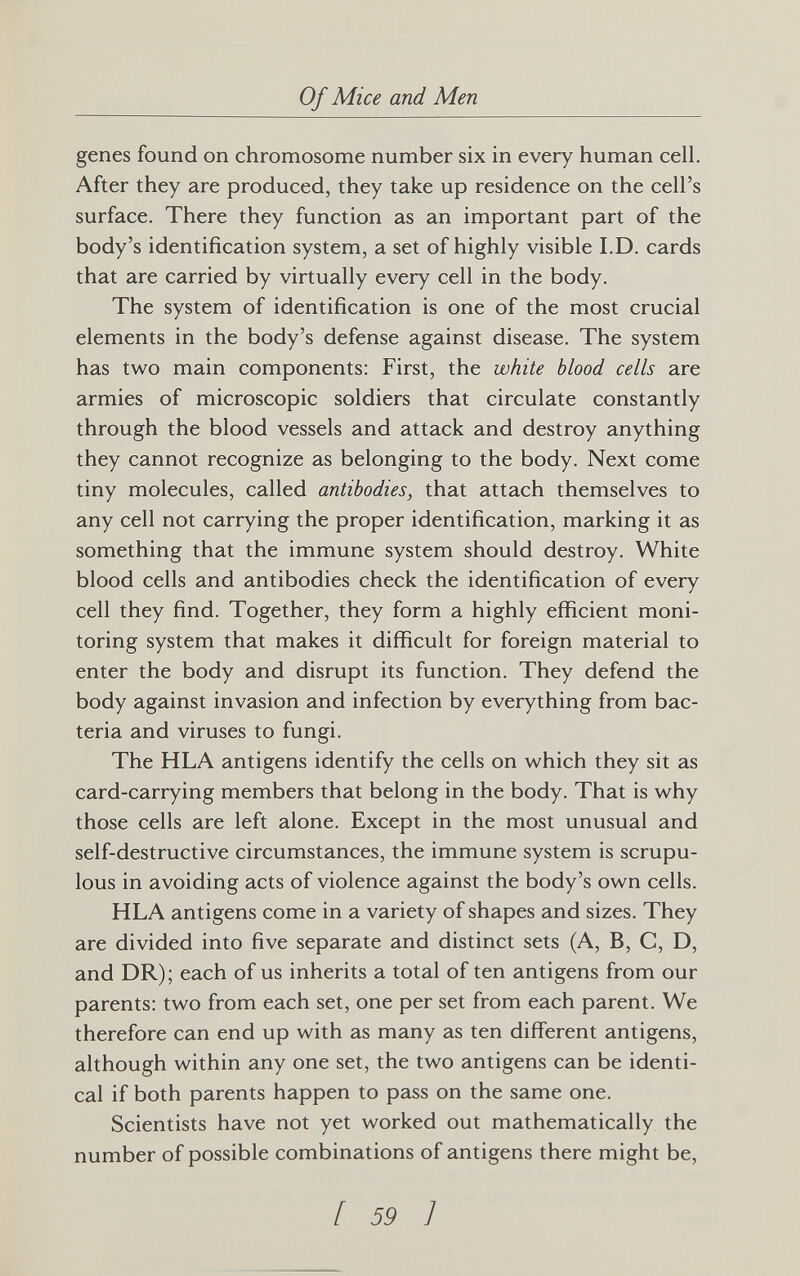 Of Mice and Men genes found on chromosome number six in every human cell. After they are produced, they take up residence on the cell's surface. There they function as an important part of the body's identification system, a set of highly visible I.D. cards that are carried by virtually every cell in the body. The system of identification is one of the most crucial elements in the body's defense against disease. The system has two main components: First, the white blood cells are armies of microscopic soldiers that circulate constantly through the blood vessels and attack and destroy anything they cannot recognize as belonging to the body. Next come tiny molecules, called antibodies, that attach themselves to any cell not carrying the proper identification, marking it as something that the immune system should destroy. White blood cells and antibodies check the identification of every cell they find. Together, they form a highly efficient moni¬ toring system that makes it difficult for foreign material to enter the body and disrupt its function. They defend the body against invasion and infection by everything from bac¬ teria and viruses to fungi. The HLA antigens identify the cells on which they sit as card-carrying members that belong in the body. That is why those cells are left alone. Except in the most unusual and self-destructive circumstances, the immune system is scrupu¬ lous in avoiding acts of violence against the body's own cells. HLA antigens come in a variety of shapes and sizes. They are divided into five separate and distinct sets (A, B, G, D, and DR); each of us inherits a total of ten antigens from our parents: two from each set, one per set from each parent. We therefore can end up with as many as ten different antigens, although within any one set, the two antigens can be identi¬ cal if both parents happen to pass on the same one. Scientists have not yet worked out mathematically the number of possible combinations of antigens there might be, I 59 1