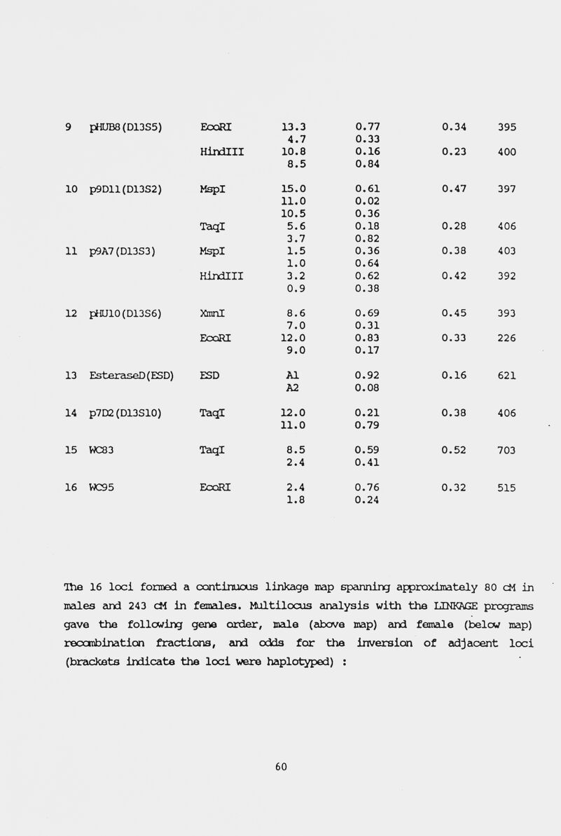 The 16 lcx:i formed a cxmtinuous linkage map speinning approximately 80 cM in males emd 243 cH in females. Multilocus anailysis with the UNKAGE programs gave the follcwing gene oanier, male (eibove map) and female (below map) recanbination fractions, eind odds for the inversion of eidjacent loci (breickets indicate the loci were haplotyped) : 60