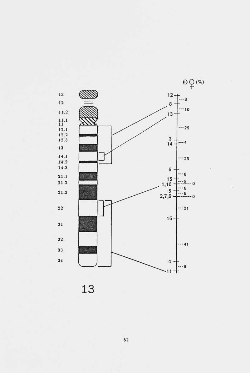 13 12 11.2 11.1 11 12.1 12.2 12.3 13 14.1 14.2 14.3 21.1 21.2 21.3 22 31 32 33 34 13 62