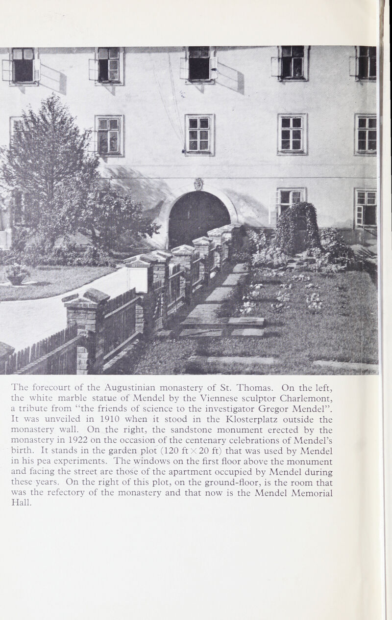 The forecourt of the Augustinian monastery of St. Thomas. On the left, the white marble statue of Mendel by the Viennese sculptor Charlemont, a tribute from the friends of science to the investigator Gregor Mendel. It was unveiled in 1910 when it stood in the Klosterplatz outside the monastery wall. On the right, the sandstone monument erected by the monastery in 1922 on the occasion of the centenary celebrations of Mendel's birth. It stands in the garden plot (120 ft X 20 ft) that was used by Mendel in his pea experiments. The windows on the first ñoor above the monument and facing the street are those of the apartment occupied by Mendel during these years. On the right of this plot, on the ground-floor, is the room that was the refectory of the monastery and that now is the Mendel Memorial Hall.
