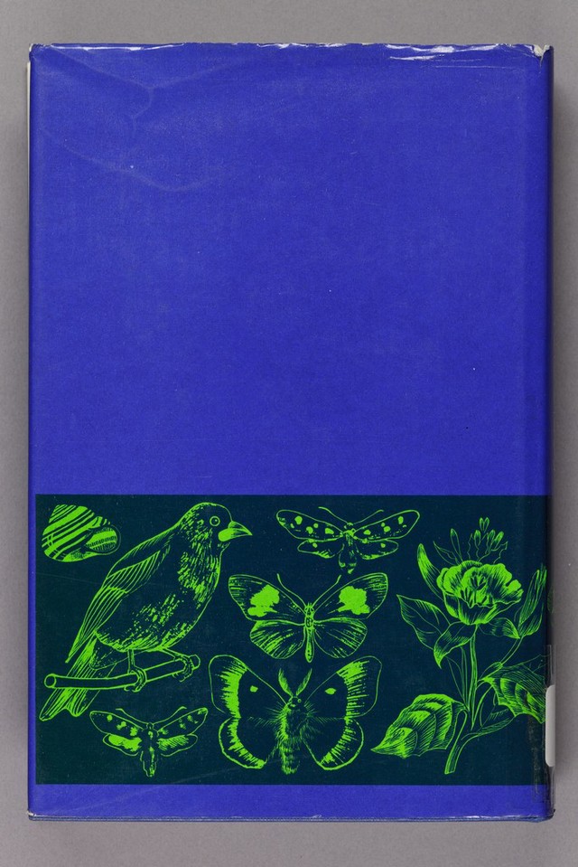 No text description is available for this image