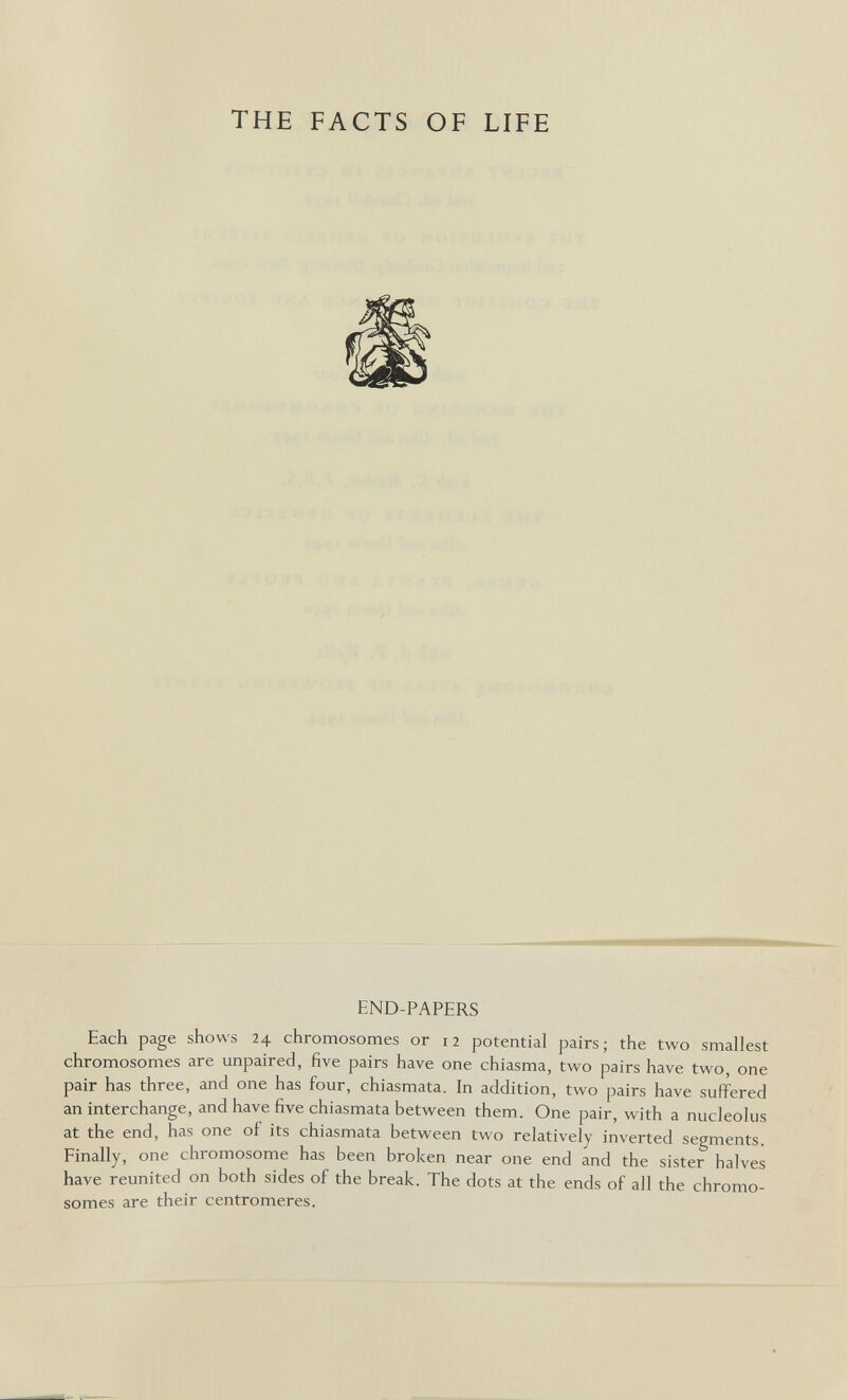 THE FACTS OF LIFE END-PAPERS Each page shows 24 chromosomes or 12 potemial pairs; the two smallest chromosomes are unpaired, five pairs have one chiasma, two pairs have two, one pair has three, and one has four, chiasmata. In addition, two pairs have suffered an interchange, and have five chiasmata between them. One pair, with a nucleolus at the end, has one of its chiasmata between two relatively inverted segments. Finally, one chromosome has been broken near one end and the sister halves have reunited on both sides of the break. The dots at the ends of all the chromo¬ somes are their centromeres.