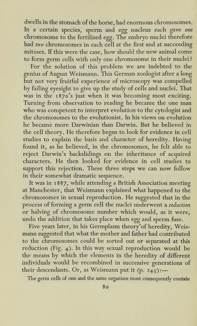 dwells in the stomach of the horse, had enormous chromosomes. In a certain species, sperm and egg nucleus each gave one chromosome to the fertilized egg. The embryo nuclei therefore had two chromosomes in each cell at the first and at succeeding mitoses. If this were the case, how should the new animal come to form germ cells with only one chromosome in their nuclei ? For the solution of this problem we are indebted to the genius of August Weismann. This German zoologist after a long but not very fruitful experience of microscopy was compelled by failing eyesight to give up the study of cells and nuclei. That was in the 1870's just when it was becoming most exciting. Turning from observation to reading he became the one man who was competent to interpret evolution to the cytologist and the chromosomes to the evolutionist. In his views on evolution he became more Darwinian than Darwin. But he believed in the cell theory. He therefore began to look for evidence in cell studies to explain the basis and character of heredity. Having found it, as he believed, in the chromosomes, he felt able to reject Darwin's backslidings on the inheritance of acquired characters. He then looked for evidence in cell studies to support this rejection. These three steps we can now follow in their somewhat dramatic sequence. It was in 1887, while attending a British Association meeting at Manchester, that Weismann explained what happened to the chromosomes in sexual reproduction. He suggested that in the process of forming a germ cell the nuclei underwent a reduction or halving of chromosome number which would, as it were, undo the addition that takes place when egg and sperm fuse. Five years later, in his Germplasm theory'of heredity, Weis- mann suggested that what the mother and father had contributed to the chromosomes could be sorted out or separated at this reduction (Fig. 4). In this way sexual reproduction would be the means by which the elements in the heredity of different individuals would be recombined in successive generations of their descendants. Or, as Weismann put it (p. 24^):— The germ cells of one and the same organism must consequently contain 80