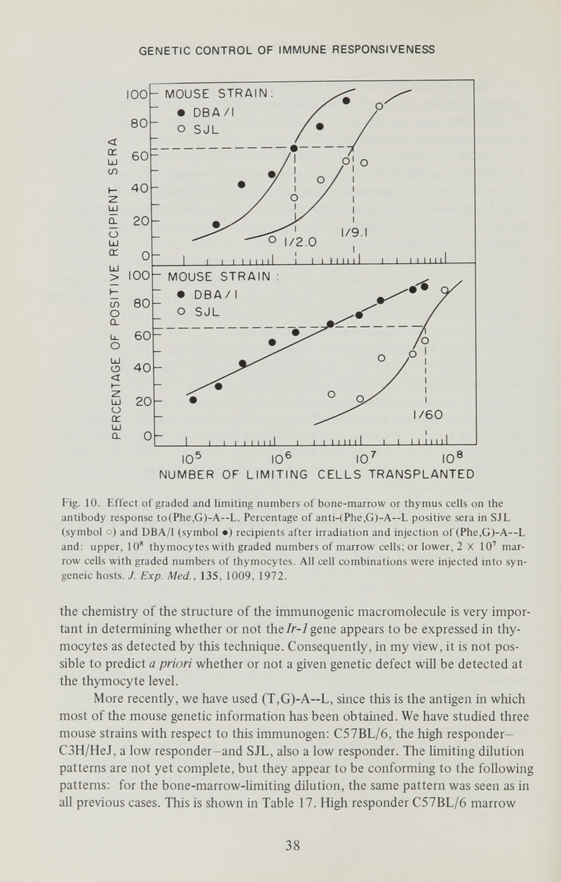 GENETIC CONTROL OF IMMUNE RESPONSIVENESS < Ct Ш (Л 100- 80- 60- 40 20- MOUSE STRAIN • DBA/I О SJL о Ш CE ÜJ > СП о Û. Lü О < LÜ и et Ш О. О- I I I I I I |1 i I 1 И II I I I I I I I I III MOUSE STRAIN : • DBA/I О SJL 1 I I 11 1111 I I I I II111 10- 10' 10' 10 8 NUMBER OF LIMITING CELLS TRANSPLANTED Fig. 10. Effect of graded and limiting numbers of bone-marrow or thymus cells on the antibody response to(Phe,G)-A—L. Percentage of anti-(Phe,G)-A—L positive sera in SJL (symbol o) and DBA/1 (symbol •) recipients after irradiation and injection of (Phe,G)-A--L and; upper, 10° thymocytes with graded numbers of marrow cells; or lower, 2 X 10' mar¬ row cells with graded numbers of thymocytes. All cell combinations were injected into syn¬ geneic hosts. / Exp. Med., 135, 1009, 1972. the chemistry of the structure of the immunogenic macromolecule is very impor¬ tant in determining whether or not the//--i gene appears to be expressed in thy¬ mocytes as detected by this technique. Consequently, in my view, it is not pos¬ sible to predict a priori whether or not a given genetic defect will be detected at the thymocyte level. More recently, we have used (T,G)-A—L, since this is the antigen in which most of the mouse genetic information has been obtained. We have studied three mouse strains with respect to this immunogen: C57BL/6, the high responder— C3H/HeJ, a low responder—and SJL, also a low responder. The limiting dilution patterns are not yet complete, but they appear to be conforming to the following patterns: for the bone-marrow-hmiting dilution, the same pattern was seen as in all previous cases. This is shown in Table 17. High responder C57BL/6 marrow 38