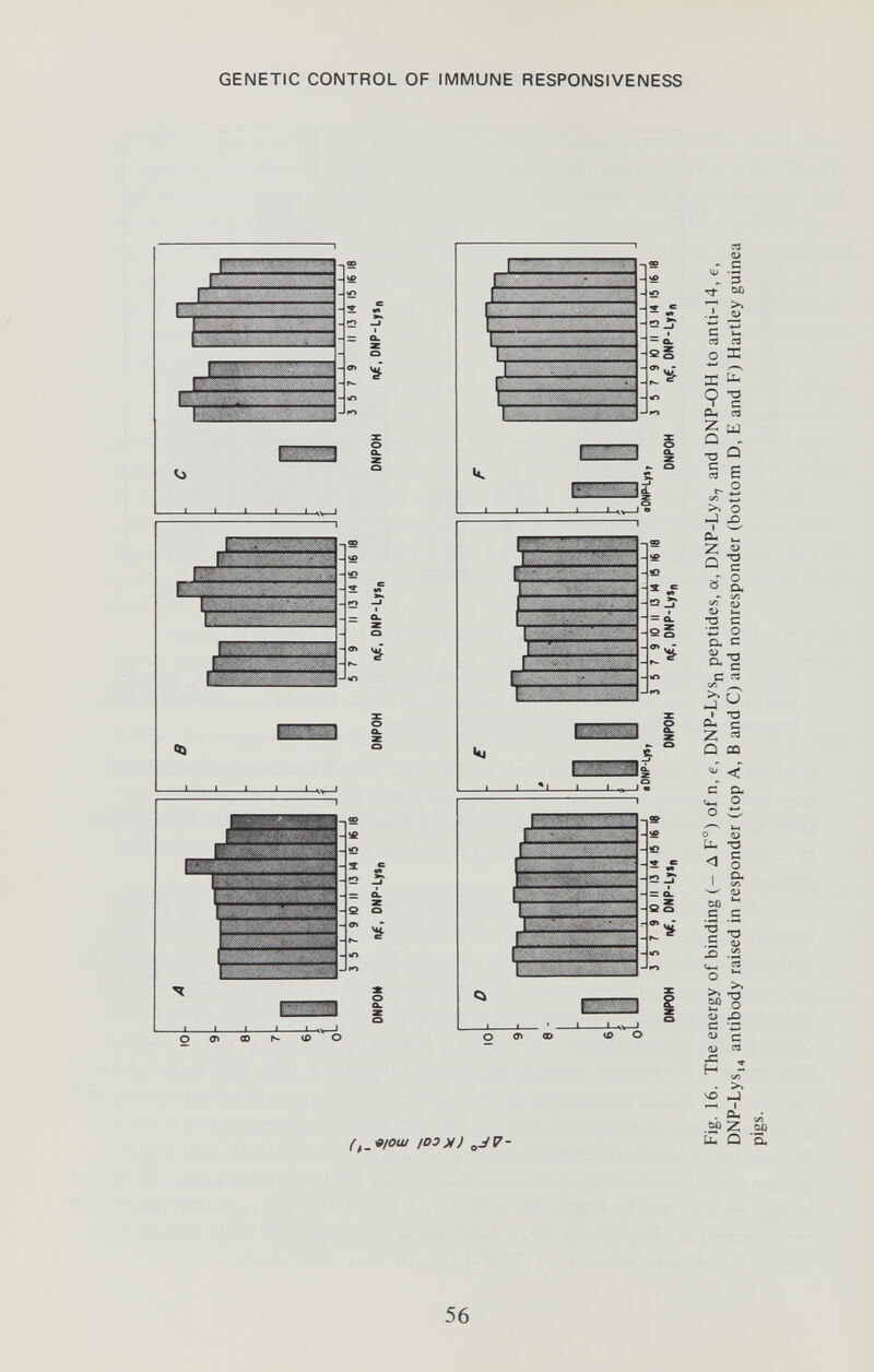 GENETIC CONTROL OF IMMUNE RESPONSIVENESS (^_«10Ш /ОЗМ) a-^7- 56