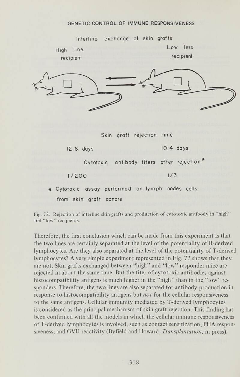 GENETIC CONTROL OF IMMUNE RESPONSIVENESS Interline exchange of skin grafts High line recipient Low line recipient Skin graft rejection time 12.6 days 10.4 days Cytotoxic antibody titers after rejection* 1/200 1/3 * Cytotoxic assay performed on lymph nodes cells from skin graft donors Fig. 72. Rejection of interline skin grafts and production of cytotoxic antibody in high and low recipients. Therefore, the first conclusion which can be made from this experiment is that the two hnes are certainly separated at the level of the potentiality of B-derived lymphocytes. Are they also separated at the level of the potentiality of T-derived lymphocytes? A very simple experiment represented in Fig. 72 shows that they are not. Skin grafts exchanged between high and low responder mice are rejected in about the same time. But the titer of cytotoxic antibodies against histocompatibility antigens is much higher in the high than in the low re- sponders. Therefore, the two lines are also separated for antibody production in response to histocompatibility antigens but not for the cellular responsiveness to the same antigens. Cellular immunity mediated by T-derived lymphocytes is considered as the principal mechanism of skin graft rejection. This finding has been confirmed with all the models in which the cellular immune responsiveness of T-derived lymphocytes is involved, such as contact sensitization, PHA respon¬ siveness, and GVH reactivity (Byfield and Howard, Transplantation, in press). 318