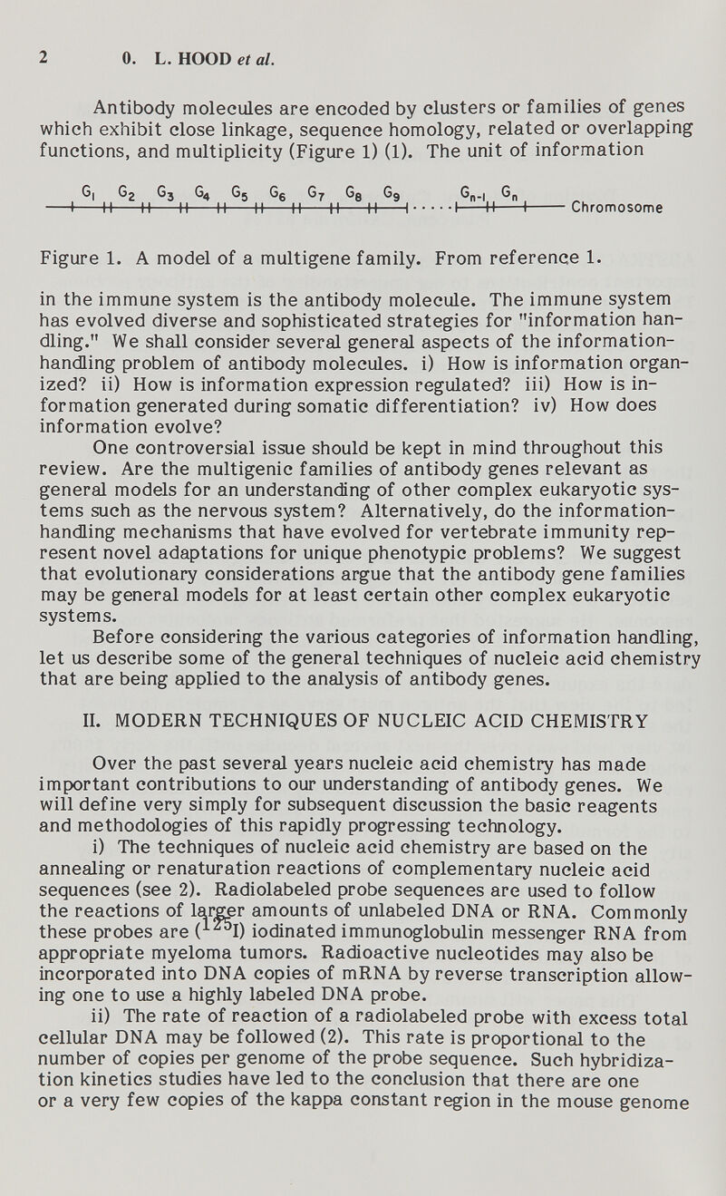 2 0. L. HOOD et al. Antibody molecules are encoded by clusters or families of genes which exhibit close linkage, sequence homology, related or overlapping functions, and multiplicity (Figure 1) (1). The unit of information G| Gg Gj G4 G5 Gg G7 Ge Gg Gn.| G^ 1 H H H H H H H H 1 1 H \ Chromosome Figure 1. A model of a multigene family. From reference 1. in the immune system is the antibody molecule. The immune system has evolved diverse and sophisticated strategies for information han¬ dling. We shall consider several general aspects of the information- handling problem of antibody molecules, i) How is information organ¬ ized? ii) How is information expression regulated? iii) How is in¬ formation generated during somatic differentiation? iv) How does information evolve? One controversial issue should be kept in mind throughout this review. Are the multigenic families of antibody genes relevant as general models for an understanding of other complex eukaryotic sys¬ tems such as the nervous system? Alternatively, do the information- handling mechanisms that have evolved for vertebrate immunity rep¬ resent novel adaptations for unique phenotypic problems? We suggest that evolutionary considerations argue that the antibody gene families may be general models for at least certain other complex eukaryotic systems. Before considering the various categories of information handling, let us describe some of the general techniques of nucleic acid chemistry that are being applied to the analysis of antibody genes. II. MODERN TECHNIQUES OF NUCLEIC ACID CHEMISTRY Over the past several years nucleic acid chemistry has made important contributions to our understanding of antibody genes. We will define very simply for subsequent discussion the basic reagents and methodologies of this rapidly progressing technology. i) The techniques of nucleic acid chemistry are based on the annealing or renaturation reactions of complementary nucleic acid sequences (see 2). Radiolabeled probe sequences are used to follow the reactions of amounts of unlabeled DNA or RNA. Commonly these probes are (^^I) iodinated immunoglobulin messenger RNA from appropriate myeloma tumors. Radioactive nucleotides may also be incorporated into DNA copies of mRNA by reverse transcription allow¬ ing one to use a highly labeled DNA probe. ii) The rate of reaction of a radiolabeled probe with excess total cellular DNA may be followed (2). This rate is proportional to the number of copies per genome of the probe sequence. Such hybridiza¬ tion kinetics studies have led to the conclusion that there are one or a very few copies of the kappa constant region in the mouse genome