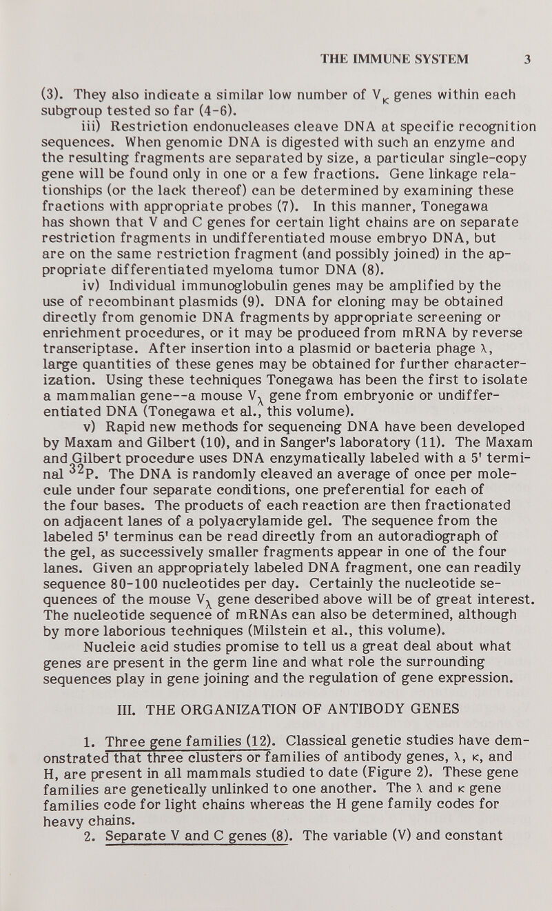 THE IMMUNE SYSTEM 3 (3). They also indicate a similar low number of genes within each subgroup tested so far (4-6). iii) Restriction endonucleases cleave DNA at specific recognition sequences. When genomic DNA is digested with such an enzyme and the resulting fragments are separated by size, a particular single-copy gene will be found only in one or a few fractions. Gene linkage rela¬ tionships (or the lack thereof) can be determined by examining these fractions with appropriate probes (7). In this manner, Tonegawa has shown that V and С genes for certain light chains are on separate restriction fragments in undifferentiated mouse embryo DNA, but are on the same restriction fragment (and possibly joined) in the ap¬ propriate differentiated myeloma tumor DNA (8). iv) Individual immunoglobulin genes may be amplified by the use of recombinant plasmids (9). DNA for cloning may be obtained directly from genomic DNA fragments by appropriate screening or enrichment procedures, or it may be produced from mRNA by reverse transcriptase. After insertion into a plasmid or bacteria phage \, large quantities of these genes may be obtained for further character¬ ization. Using these techniques Tonegawa has been the first to isolate a mammalian gene—a mouse gene from embryonic or undiffer¬ entiated DNA (Tonegawa et al., this volume). v) Rapid new methods for sequencing DNA have been developed by Maxam and Gilbert (10), and in Sanger's laboratory (11). The Maxam and Gilbert procedure uses DNA enzymatically labeled with a 5' termi¬ nal The DNA is randomly cleaved an average of once per mole¬ cule under four separate conditions, one preferential for each of the four bases. The products of each reaction are then fractionated on adjacent lanes of a Polyacrylamide gel. The sequence from the labeled 5' terminus can be read directly from an autoradiograph of the gel, as successively smaller fragments appear in one of the four lanes. Given an appropriately labeled DNA fragment, one can readily sequence 80-100 nucleotides per day. Certainly the nucleotide se¬ quences of the mouse gene described above will be of great interest. The nucleotide sequence of mRNAs can also be determined, although by more laborious techniques (Milstein et al., this volume). Nucleic acid studies promise to tell us a great deal about what genes are present in the germ line and what role the surrounding sequences play in gene joining and the regulation of gene expression. III. THE ORGANIZATION OF ANTIBODY GENES 1. Three gene families (12). Classical genetic studies have dem¬ onstrated that three clusters or families of antibody genes, \, к, and H, are present in all mammals studied to date (Figure 2). These gene families are genetically unlinked to one another. The X and к gene families code for light chains whereas the H gene family codes for heavy chains. 2. Separate V and С genes (8). The variable (V) and constant
