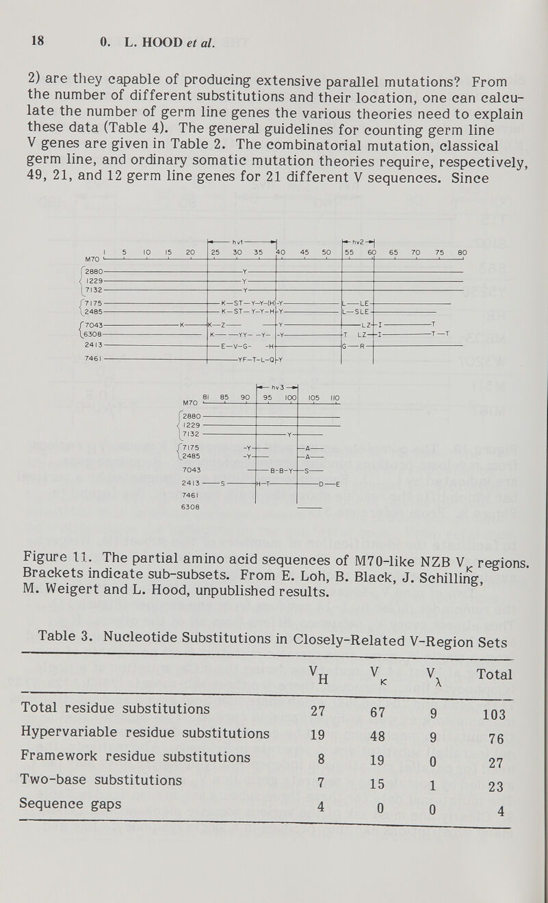 18 0. L. HOOD et al. 2) are tlìey capable of producing extensive parallel mutations? From the number of different substitutions and their location, one can calcu¬ late the number of germ line genes the various theories need to explain these data (Table 4). The general guidelines for counting germ line V genes are given in Table 2. The combinatorial mutation, classical germ line, and ordinary somatic mutation theories require, respectively, 49, 21, and 12 germ line genes for 21 different V sequences. Since I M70 ' 2880- 1229- 7132- [ 7175- ^2485- Г 7043- \.6308- 2413- 20 25 • hv1- 30 1 35 40 45 ^hv2-^ 55 60 65 70 75 80 -Y- -Y- K—ST—Y-Y-(H)-Y- ' Y- » K-ST—Y-Y-H -Z — —YY Y- -V-G- -H- —YF-T-L-Q L LE- L—SLE -LZ- LZ- -R- -T -T —T M70 Г288О- ¡ 1229 ■ 17132 ■ Г7175 \_2485 7043 2413 - 7461 6308 Figure 11, The partial amino acid sequences of M70-like NZB regions. Brackets indicate sub-subsets. From E. Loh, В. Black, J. Schilling, M. Weigert and L. Hood, unpublished results. Table 3. Nucleotide Substitutions in Closely-Related V-Region Sets