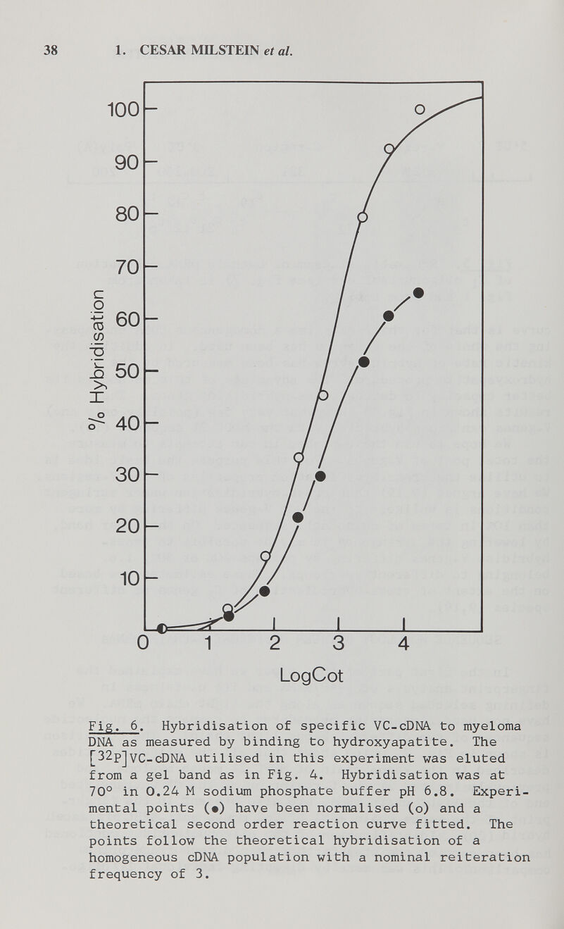 1. CESAR MILSTEIN et al. LogCot Fig. 6. Hybridisation of specific VC-cDNA. to myeloma DNA as measured by binding to hydroxyapatite. The [32p^VC-cDNA utilised in this experiment was eluted from a gel band as in Fig. 4. Hybridisation was at 70° in 0.24 M sodium phosphate buffer pH 6.8. Experi¬ mental points (•) have been normalised (o) and a theoretical second order reaction curve fitted. The points follow the theoretical hybridisation of a homogeneous cDNA population with a nominal reiteration frequency of 3.