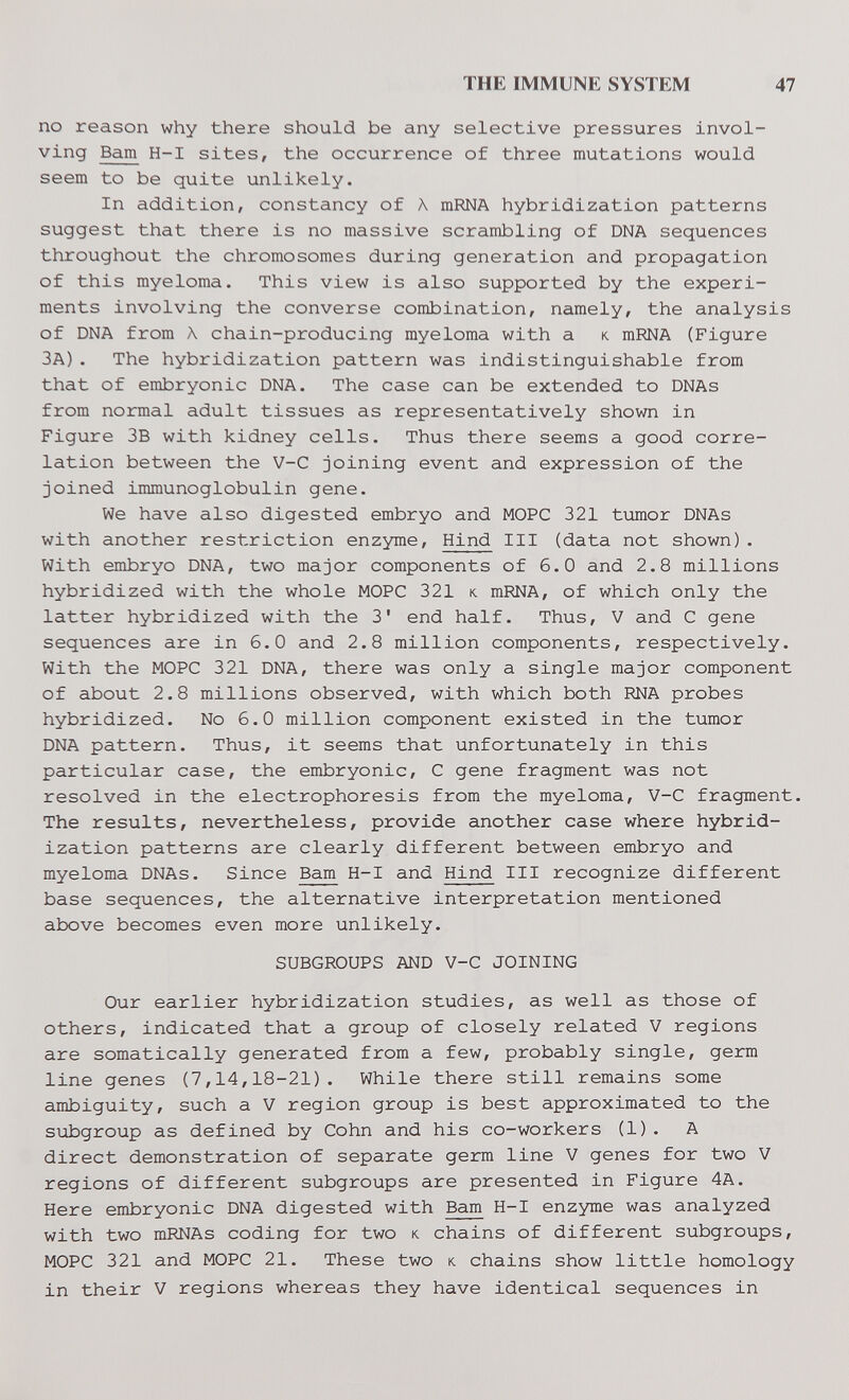 THE IMMUNE SYSTEM 47 no reason why there should be any selective pressures invol¬ ving Bam H-I sites, the occurrence of three mutations would seem to be quite unlikely. In addition, constancy of A mRNA hybridization patterns suggest that there is no massive scrambling of DNA sequences throughout the chromosomes during generation and propagation of this myeloma. This view is also supported by the experi¬ ments involving the converse combination, namely, the analysis of DNA from Л chain-producing myeloma with a к mRNA (Figure ЗА). The hybridization pattern was indistinguishable from that of embryonic DNA. The case can be extended to DNAs from normal adult tissues as representatively shown in Figure 3B with kidney cells. Thus there seems a good corre¬ lation between the V-C joining event and expression of the joined immunoglobulin gene. We have also digested embryo and MOPC 321 tumor DNAs with another restriction enzyme. Hind III (data not shown). With embryo DNA, two major components of 6.0 and 2.8 millions hybridized with the whole MOPC 321 к mRNA, of which only the latter hybridized with the 3' end half. Thus, V and С gene sequences are in 6.0 and 2.8 million components, respectively. With the MOPC 321 DNA, there was only a single major component of about 2.8 millions observed, with which both RNA probes hybridized. No 6.0 million component existed in the tumor DNA pattern. Thus, it seems that unfortunately in this particular case, the embryonic, С gene fragment was not resolved in the electrophoresis from the myeloma, V-C fragment. The results, nevertheless, provide another case where hybrid¬ ization patterns are clearly different between embryo and myeloma DNAs. Since Bam H-I and Hind III recognize different base sequences, the alternative interpretation mentioned above becomes even more unlikely. SUBGROUPS AND V-C JOINING Our earlier hybridization studies, as well as those of others, indicated that a group of closely related V regions are somatically generated from a few, probably single, germ line genes (7,14,18-21). While there still remains some ambiguity, such a V region group is best approximated to the subgroup as defined by Cohn and his co-workers (1). A direct demonstration of separate germ line V genes for two V regions of different subgroups are presented in Figure 4A. Here embryonic DNA digested with Bam H-I enzyme was analyzed with two mRNAs coding for two к chains of different subgroups, MOPC 321 and MOPC 21. These two к chains show little homology in their V regions whereas they have identical sequences in