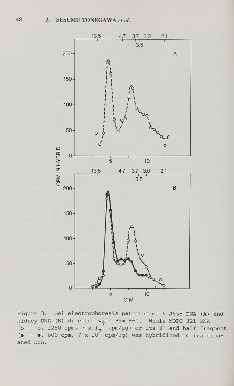 48 2. SUSUMU TONEGAWA et al. 13.5 4.7 3.7 3.0 2.1 CL О 200- 150- 100- 50- 13.5 4.7 3.7 3.0 2.1 т 1 n 1 г 3.5 В с.м. Figure 3. Gel electrophoresis patterns of Л J558 DNA (A) and kidney DNA (В) digested w;^th Bam H-I. Whole MOPC 321 RNA (о о, 1250 cpm, 7x1^ cpm/|ag) or its 3' end half fragment (• •, 600 cpm, 7 X 10 cpm/|ag) was hybridized to fraction¬ ated DNA.