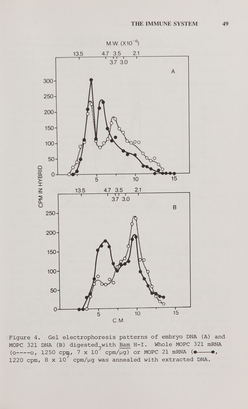 THE IMMUNE SYSTEM 49 M.W (X10®) 13.5 4.7 3.5 2.1 X Figure 4. Gel electrophoresis patterns of embryo DNA (A) and MOPC 321 DNA (В) digested^with Bam H-I. Whole MOPC 321 mRNA (o o, 1250 cpiy, 7 X 10 cpm/iag) or MOPC 21 mRNA (• 1220 cpm, 8 X 10 cpm/(ig was annealed with extracted DNA.