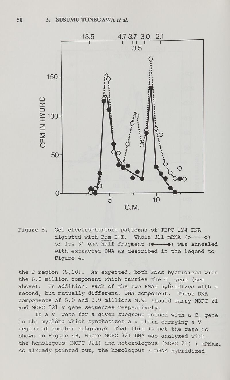 50 2. SUSUMU TONEGAWA et al. 13.5 4.7 3.7 3.0 2.1 C.M. Figure 5. Gel electrophoresis patterns of ТЕРС 124 DNA digested with Bam H-I. Whole 321 mRNA (o o) or its 3' end half fragment (• •) was annealed with extracted DNA as described in the legend to Figure 4. the С region (8,10). As expected, both RNAs hybridized with the 6.0 million component which carries the С gene (see above). In addition, each of the two RNAs hybridized with a second, but mutually different, DNA component. These DNA components of 5.0 and 3.9 millions M.W. should carry MOPC 21 and MOPC 321 V gene sequences respectively. Is a V gene for a given subgroup joined with a С gene in the myeloma which synthesizes a к. chain carrying a V region of another subgroup? That this is not the case is shown in Figure 4B, where MOPC 321 DNA was analyzed with the homologous (MOPC 321) and heterologous (MOPC 21) к mRNAs. As already pointed out, the homologous к mRNA hybridized