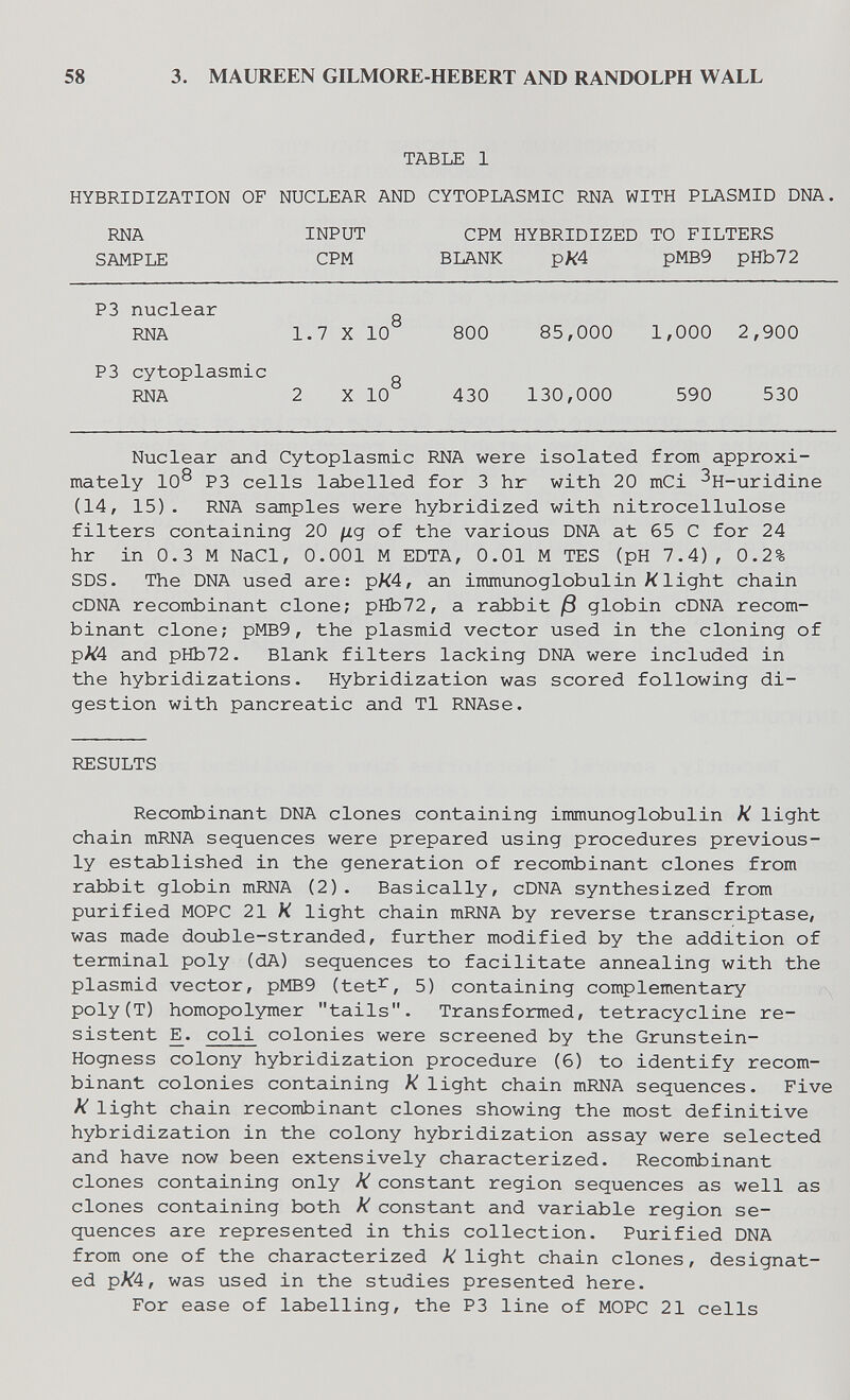 58 3. MAUREEN GILMORE-HEBERT AND RANDOLPH WALL TABLE 1 HYBRIDIZATION OF NUCLEAR AND CYTOPLASMIC RNA WITH PLASMID DNA. RNA INPUT СРМ HYBRIDIZED TO FILTERS SAMPLE CPM BLANK pMB9 pHb72 P3 nuclear „ RNA 1.7 X 10 800 85,000 1,000 2,900 P3 cytoplasmic о RNA 2 X 10 430 130,000 590 530 Nuclear and Cytoplasmic RNA were isolated from approxi¬ mately 10® P3 cells labelled for 3 hr with 20 mCi ^H-uridine (14, 15). RNA samples were hybridized with nitrocellulose filters containing 20 ¡iq of the various DNA at 65 С for 24 hr in 0.3 M NaCl, 0.001 M EDTA, 0.01 M TES (pH 7.4), 0.2% SDS. The DNA used are: pK4, an immunoglobulin light chain cDNA recombinant clone; pHb72, a rabbit ß globin cDNA recom¬ binant clone; pMB9, the plasmid vector used in the cloning of pA4 and pHb72. Blank filters lacking DNA were included in the hybridizations. Hybridization was scored following di¬ gestion with pancreatic and Tl RNAse. RESULTS Recombinant DNA clones containing immunoglobulin К light chain mRNA sequences were prepared using procedures previous¬ ly established in the generation of recombinant clones from rabbit globin mRNA (2). Basically, cDNA synthesized from purified MOPC 21 К light chain mRNA by reverse transcriptase, was made double-stranded, further modified by the addition of terminal poly (dA) sequences to facilitate annealing with the plasmid vector, pMB9 (tet^, 5) containing complementary poly(T) homopolymer tails. Transformed, tetracycline re¬ sistent E. coli colonies were screened by the Grunstein- Hogness colony hybridization procedure (6) to identify recom¬ binant colonies containing К light chain mRNA sequences. Five к light chain recombinant clones showing the most definitive hybridization in the colony hybridization assay were selected and have now been extensively characterized. Recombinant clones containing only к constant region sequences as well as clones containing both к constant and variable region se¬ quences are represented in this collection. Purified DNA from one of the characterized light chain clones, designat¬ ed pA^4, was used in the studies presented here. For ease of labelling, the P3 line of MOPC 21 cells