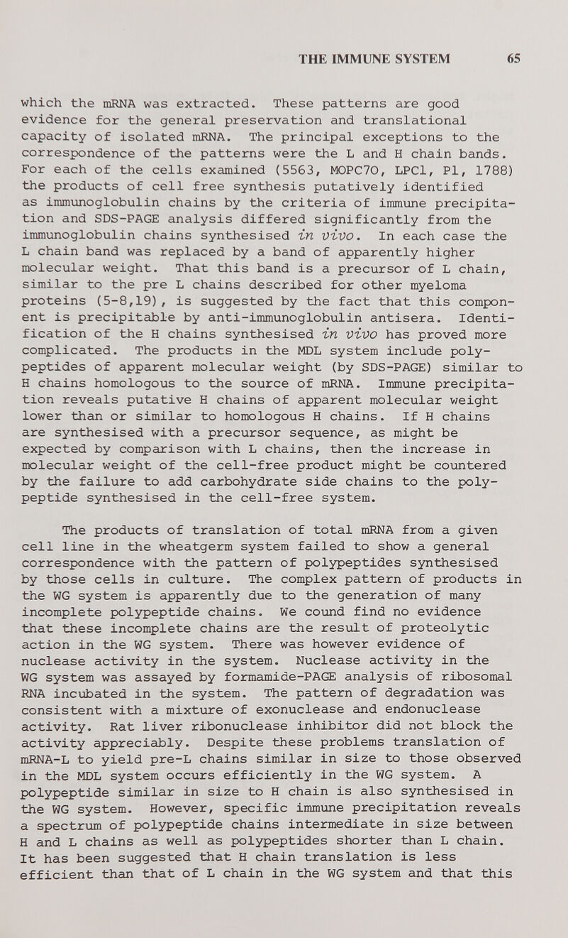 THE IMMUNE SYSTEM 65 which the mRNA was extracted. These patterns are good evidence for the general preservation and translational capacity of isolated mRNA. The principal exceptions to the correspondence of the patterns were the L and H chain bands. For each of the cells examined (5563, M0PC70, LPCl, Pi, 1788) the products of cell free synthesis putatively identified as immunoglobulin chains by the criteria of immime precipita¬ tion and SDS-PAGE analysis differed significantly from the immunoglobulin chains synthesised гп vivo. In each case the L chain band was replaced by a band of apparently higher molecular weight. That this band is a precursor of L chain, similar to the pre L chains described for other myeloma proteins (5-8,19), is suggested by the fact that this compon¬ ent is precipitable by anti-immunoglobulin antisera. Identi¬ fication of the H chains synthesised in vivo has proved more complicated. The products in the MDL system include poly¬ peptides of apparent molecular weight (by SDS-PAGE) similar to H chains homologous to the source of mRNA. Immune precipita¬ tion reveals putative H chains of apparent molecular weight lower than or similar to homologous H chains. If H chains are synthesised with a precursor sequence, as might be expected by comparison with L chains, then the increase in molecular weight of the cell-free product might be countered by the failure to add carbohydrate side chains to the poly¬ peptide synthesised in the cell-free system. The products of translation of total тША from a given cell line in the wheatgerm system failed to show a general correspondence with the pattern of polypeptides synthesised by those cells in culture. The complex pattern of products in the WG system is apparently due to the generation of many incomplete polypeptide chains. We cound find no evidence that these incomplete chains are the result of proteolytic action in the WG system. There was however evidence of nuclease activity in the system. Nuclease activity in the WG system was assayed by formamide-PAGE analysis of ribosomal RNA incubated in the system. The pattern of degradation was consistent with a mixture of exonuclease and endonuclease activity. Rat liver ribonuclease inhibitor did not block the activity appreciably. Despite these problems translation of mRNA-L to yield pre-L chains similar in size to those observed in the MDL system occurs efficiently in the WG system. A polypeptide similar in size to H chain is also synthesised in the WG system. However, specific immune precipitation reveals a spectr\im of polypeptide chains intermediate in size between H and L chains as well as polypeptides shorter than L chain. It has been suggested that H chain translation is less efficient than that of L chain in the WG system and that this