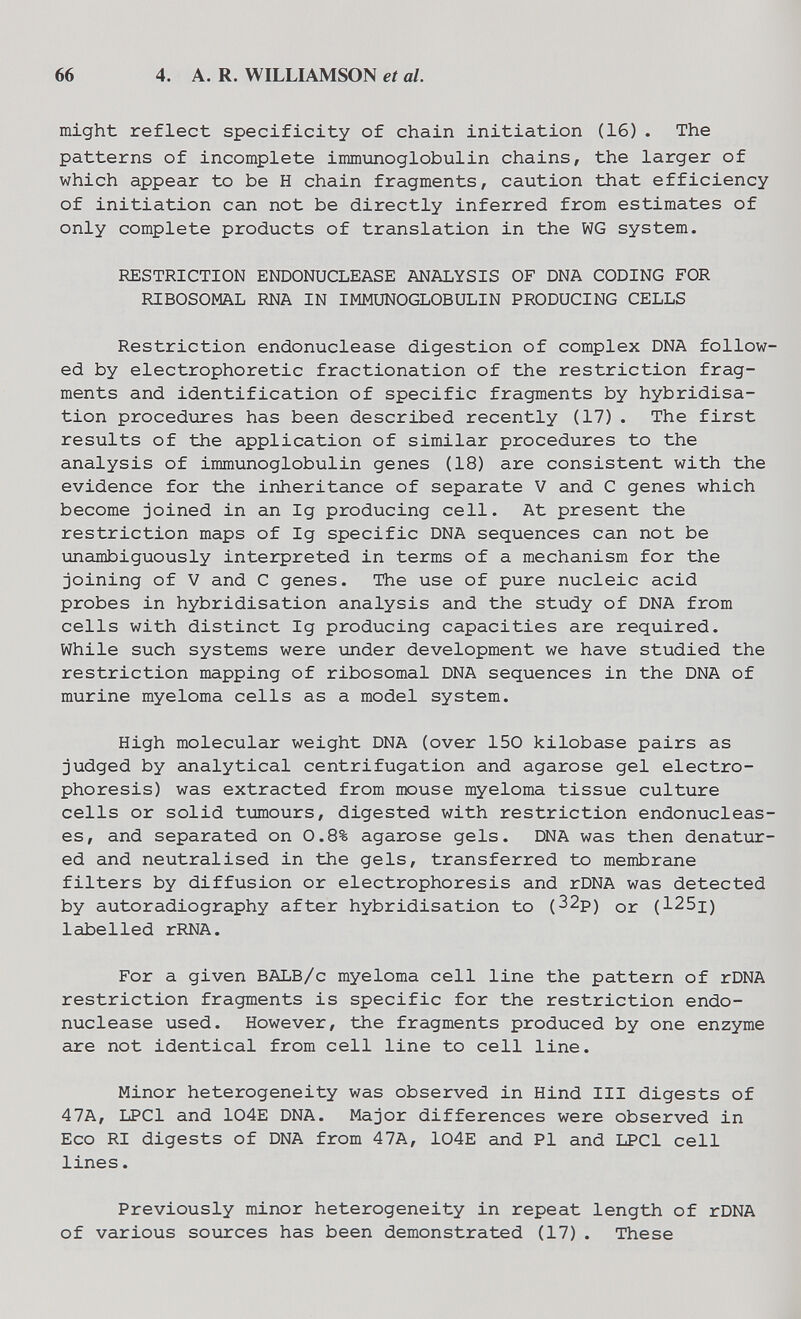 66 4. A. R. WILLIAMSON et al. might reflect specificity of chain initiation (16). The patterns of incomplete immunoglobulin chains, the larger of which appear to be H chain fragments, caution that efficiency of initiation can not be directly inferred from estimates of only complete products of translation in the WG system. RESTRICTION ENDONUCLEASE ANALYSIS OF DNA CODING FOR RIBOSOMAL RNA IN IMMUNOGLOBULIN PRODUCING CELLS Restriction endonuclease digestion of complex DNA follow¬ ed by electrophoretic fractionation of the restriction frag¬ ments and identification of specific fragments by hybridisa¬ tion procedures has been described recently (17). The first results of the application of similar procedures to the analysis of immunoglobulin genes (18) are consistent with the evidence for the inheritance of separate V and С genes which become joined in an Ig producing cell. At present the restriction maps of Ig specific DNA sequences can not be unambiguously interpreted in terms of a mechanism for the joining of V and С genes. The use of pure nucleic acid probes in hybridisation analysis and the study of DNA from cells with distinct Ig producing capacities are required. While such systems were under development we have studied the restriction mapping of ribosomal DNA sequences in the DNA of murine myeloma cells as a model system. High molecular weight DNA (over 150 kilobase pairs as judged by analytical centrifugation and agarose gel electro¬ phoresis) was extracted from mouse myeloma tissue culture cells or solid tглnours, digested with restriction endonucleas- es, and separated on 0.8% agarose gels. DNA was then denatur¬ ed and neutralised in the gels, transferred to membrane filters by diffusion or electrophoresis and rDNA was detected by autoradiography after hybridisation to (32p) or (125i) labelled rRNA. For a given BALB/c myeloma cell line the pattern of rDNA restriction fragments is specific for the restriction endo¬ nuclease used. However, the fragments produced by one enzyme are not identical from cell line to cell line. Minor heterogeneity was observed in Hind III digests of 47A, LPCl and 104E DNA. Major differences were observed in Eco RI digests of DNA from 47A, 104E and PI and LPCl cell lines. Previously minor heterogeneity in repeat length of rDNA of various sources has been demonstrated (17). These