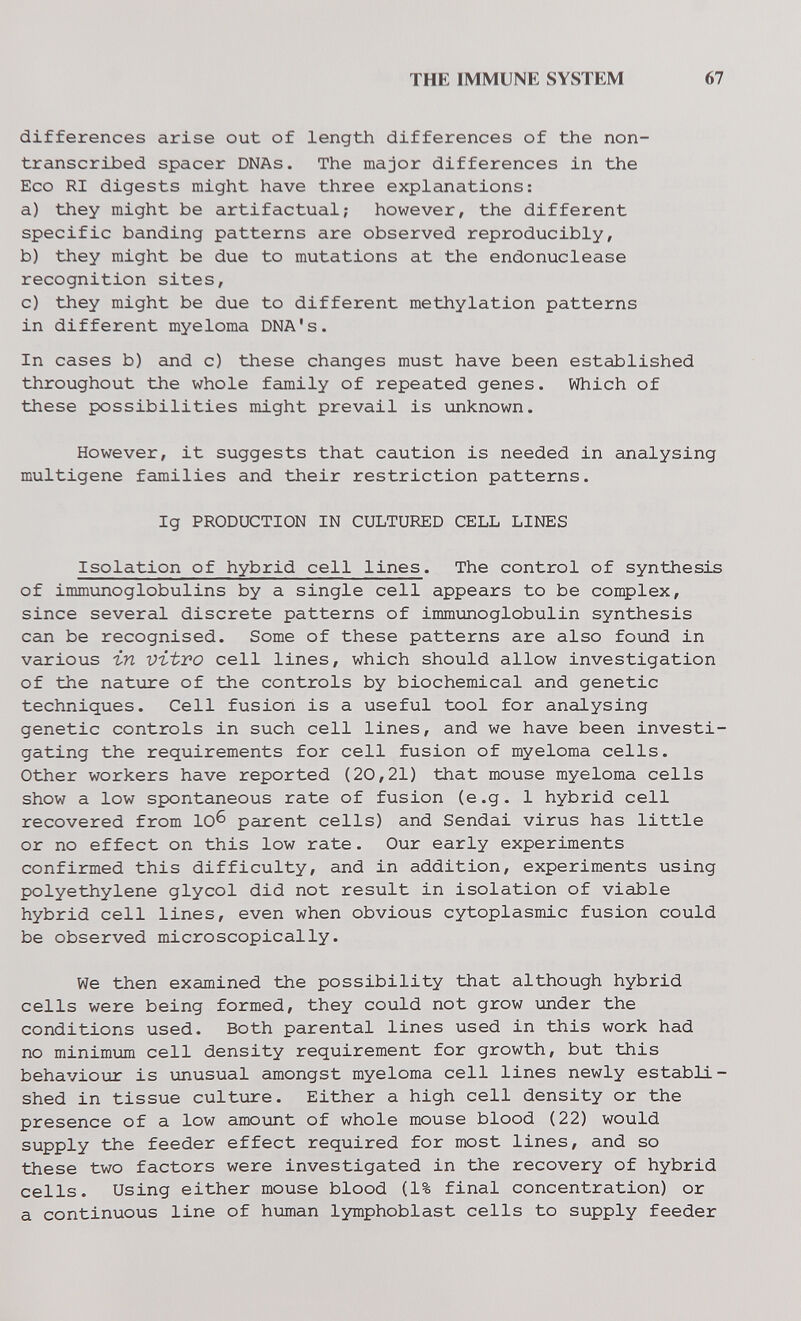 THE IMMUNE SYSTEM 67 differences arise out of length differences of the non- transcribed spacer DNAs. The major differences in the Eco RI digests might have three explanations: a) they might be artifactual; however, the different specific banding patterns are observed reproducibly, b) they might be due to mutations at the endonuclease recognition sites, c) they might be due to different methylation patterns in different myeloma DNA's. In cases b) and c) these changes must have been established throughout the whole family of repeated genes. Which of these possibilities might prevail is unknown. However, it suggests that caution is needed in analysing multigene families and their restriction patterns. Ig PRODUCTION IN CULTURED CELL LINES Isolation of hybrid cell lines. The control of synthesis of immunoglobulins by a single cell appears to be complex, since several discrete patterns of immunoglobulin synthesis can be recognised. Some of these patterns are also fo\and in various in vitro cell lines, which should allow investigation of the nature of the controls by biochemical and genetic techniques. Cell fusion is a useful tool for analysing genetic controls in such cell lines, and we have been investi¬ gating the requirements for cell fusion of myeloma cells. Other workers have reported (20,21) that mouse myeloma cells show a low spontaneous rate of fusion (e.g. 1 hybrid cell recovered from 10^ parent cells) and Sendai virus has little or no effect on this low rate. Our early experiments confirmed this difficulty, and in addition, experiments using polyethylene glycol did not result in isolation of viable hybrid cell lines, even when obvious cytoplasmic fusion could be observed microscopically. We then examined the possibility that although hybrid cells were being formed, they could not grow under the conditions used. Both parental lines used in this work had no minimum cell density requirement for growth, but this behaviour is unusual amongst myeloma cell lines newly establi¬ shed in tissue culture. Either a high cell density or the presence of a low amount of whole mouse blood (22) would supply the feeder effect required for most lines, and so these two factors were investigated in the recovery of hybrid cells. Using either mouse blood (1% final concentration) or a continuous line of human lymphoblast cells to supply feeder