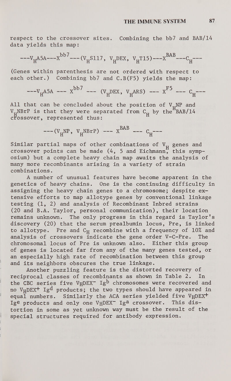 THE IMMUNE SYSTEM 87 respect to the crossover sites. Combining the ЬЪ7 and BAB/14 data yields this map: Vj^5A (V^S117, V^DEX, V^^TIS) X®^®  (Genes within parenthesis are not ordered with respect to each other.) Combining bb7 and C.B(F5) yields the map: Vj^5A X^^^ (Vj^EX, Vj^S) X^^ Cjj All that can be concluded about the position of V^NP and VjjNBrP is that they were separated from C^ by the BAB/14 crossover, represented thus: (VjjNP, VjjNBrP) X®^® Сд Similar partial maps of other combinations of genes and crossover points can be made (4, 5 and Eichmann, this symp¬ osium) but a complete heavy chain map awaits the analysis of many more recombinants arising in a variety of strain combinations. A number of unusual features have become apparent in the genetics of heavy chains. One is the continuing difficulty in assigning the heavy chain genes to a chromosome; despite ex¬ tensive efforts to map allotype genes by conventional linkage testing (1, 2) and analysis of Recombinant Inbred strains (20 and B.A. Taylor, personal communication), their location remains unknown. The only progress in this regard is Taylor's discovery (20) that the serum prealbumin locus, Pre, is linked to allotype. Pre and Сц recombine with a frequency of 10% and analysis of crossovers indicate the gene order V-C-Pre. The chromosomal locus of Pre is unknown also. Either this group of genes is located far from any of the many genes tested, or an especially high rate of recombination between this group and its neighbors obscures the true linkage. Another puzzling feature is the distorted recovery of reciprocal classes of recombinants as shown in Table 2. In the CBC series five V^DEX Ig^* chromosomes were recovered and no VjjDEX^ Ig'^ products; the two types should have appeared in equal numbers. Similarly the АСА series yielded five VjiDEX^ Ige products and only one VhDEX Ig^ crossover. This dis¬ tortion in some as yet unknown way must be the result of the special structures required for antibody expression.