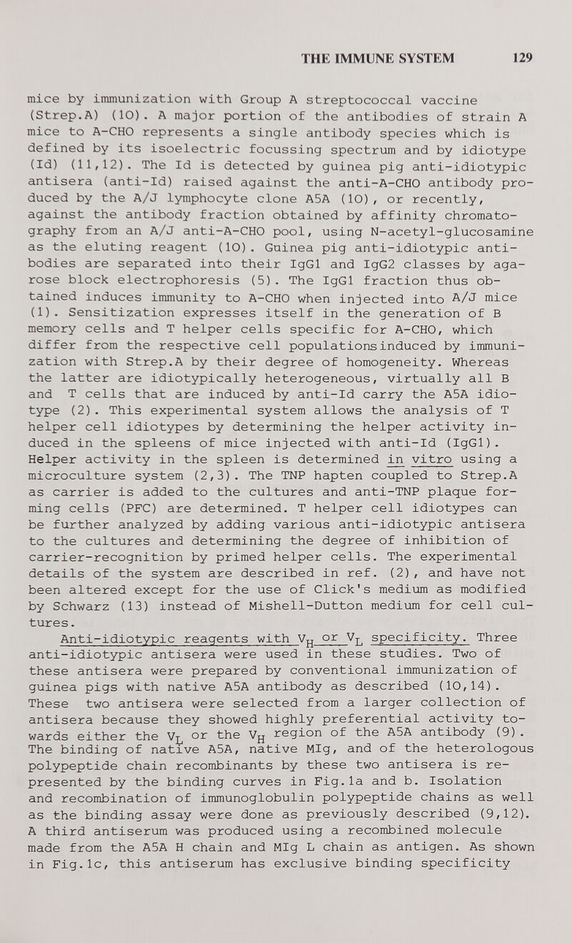 THE IMMUNE SYSTEM 129 mice by inmunization with Group A streptococcal vaccine (Strep.A) (10). A major portion of the antibodies of strain A mice to A-CHO represents a single antibody species which is defined by its isoelectric focussing spectrum and by idiotype (Id) (11,12). The Id is detected by guinea pig anti-idiotypic antisera (anti-Id) raised against the anti-A-CHO antibody pro¬ duced by the A/J lymphocyte clone A5A (10), or recently, against the antibody fraction obtained by affinity chromato¬ graphy from an A/J anti-A-CHO pool, using N-acetyl-glucosamine as the eluting reagent (10). Guinea pig anti-idiotypic anti¬ bodies are separated into their IgGl and IgG2 classes by aga¬ rose block electrophoresis (5). The IgGl fraction thus ob¬ tained induces immunity to A-CHO when injected into A/J mice (1). Sensitization expresses itself in the generation of В memory cells and T helper cells specific for A-CHO, which differ from the respective cell populations induced by immuni¬ zation with Strep.A by their degree of homogeneity. Whereas the latter are idiotypically heterogeneous, virtually all В and T cells that are induced by anti-Id carry the A5A idio¬ type (2). This experimental system allows the analysis of T helper cell idiotypes by determining the helper activity in¬ duced in the spleens of mice injected with anti-Id (IgGl). Helper activity in the spleen is determined vitro using a microculture system (2,3). The TNP hapten coupled to Strep.A as carrier is added to the cultures and anti-TNP plaque for¬ ming cells (PFC) are determined. T helper cell idiotypes can be further analyzed by adding various anti-idiotypic antisera to the cultures and determining the degree of inhibition of carrier-recognition by primed helper cells. The experimental details of the system are described in ref. (2), and have not been altered except for the use of Click's medium as modified by Schwarz (13) instead of Mishell-Dutton medium for cell cul¬ tures . Anti-idiotypic reagents with or 4j specificity. Three anti-idiotypic antisera were used in these studies. Two of these antisera were prepared by conventional immunization of guinea pigs with native A5A antibody as described (10,14). These two antisera were selected from a larger collection of antisera because they showed highly preferential activity to¬ wards either the Vr or the Vjj region of the A5A antibody (9) . The binding of natxve A5A, native MIg, and of the heterologous polypeptide chain recombinants by these two antisera is re¬ presented by the binding curves in Fig.la and b. Isolation and recombination of immunoglobulin polypeptide chains as well as the binding assay were done as previously described (9,12). A third antiserum was produced using a recombined molecule made from the A5A H chain and MIg L chain as antigen. As shown in Fig.lc, this antiserum has exclusive binding specificity