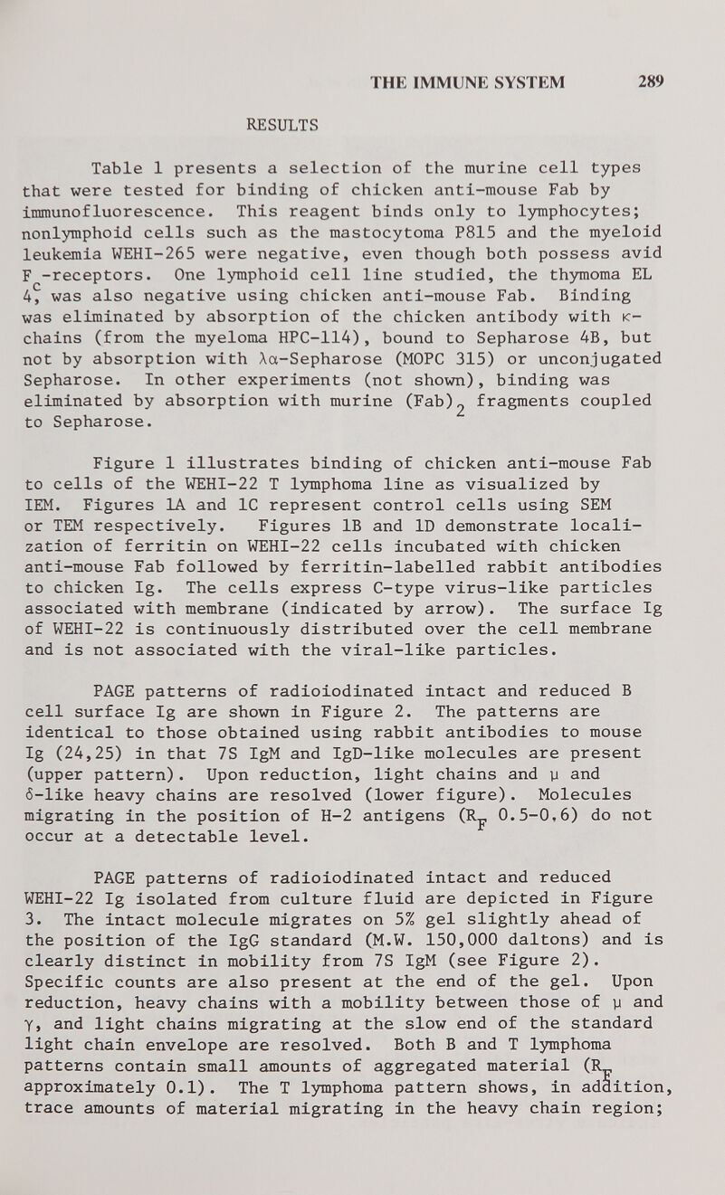 the immun?: systp:m 289 RESULTS Table 1 presents a selection of the murine cell types that were tested for binding of chicken anti-mouse Fab by immunofluorescence. This reagent binds only to lymphocytes; nonlymphoid cells such as the mastocytoma P815 and the myeloid leukemia WEHI-265 were negative, even though both possess avid F -receptors. One lymphoid cell line studied, the thymoma EL 4, was also negative using chicken anti-mouse Fab. Binding was eliminated by absorption of the chicken antibody with ic- chains (from the myeloma HPC-114), bound to Sepharose 4B, but not by absorption with Xa-Sepharose (MOPC 315) or unconjugated Sepharose. In other experiments (not shown), binding was eliminated by absorption with murine (Fab)2 fragments coupled to Sepharose. Figure 1 illustrates binding of chicken anti-mouse Fab to cells of the WEHI-22 T lymphoma line as visualized by lEM. Figures lA and 1С represent control cells using SEM or ТЕМ respectively. Figures IB and ID demonstrate locali¬ zation of ferritin on WEHI-22 cells incubated with chicken anti-mouse Fab followed by ferritin-labelled rabbit antibodies to chicken Ig. The cells express C-type virus-like particles associated with membrane (indicated by arrow). The surface Ig of WEHI-22 is continuously distributed over the cell membrane and is not associated with the viral-like particles. PAGE patterns of radioiodinated intact and reduced В cell surface Ig are shown in Figure 2. The patterns are identical to those obtained using rabbit antibodies to mouse Ig (24,25) in that 7S IgM and IgD-like molecules are present (upper pattern). Upon reduction, light chains and у and ô-like heavy chains are resolved (lower figure). Molecules migrating in the position of H-2 antigens (Rp, 0.5-0,6) do not occur at a detectable level. PAGE patterns of radioiodinated intact and reduced WEHI-22 Ig isolated from culture fluid are depicted in Figure 3. The intact molecule migrates on 5% gel slightly ahead of the position of the IgG standard (M.W. 150,000 daltons) and is clearly distinct in mobility from 7S IgM (see Figure 2). Specific counts are also present at the end of the gel. Upon reduction, heavy chains with a mobility between those of y and Y, and light chains migrating at the slow end of the standard light chain envelope are resolved. Both В and T lymphoma patterns contain small amounts of aggregated material (R approximately 0.1). The T lymphoma pattern shows, in addition, trace amounts of material migrating in the heavy chain region;