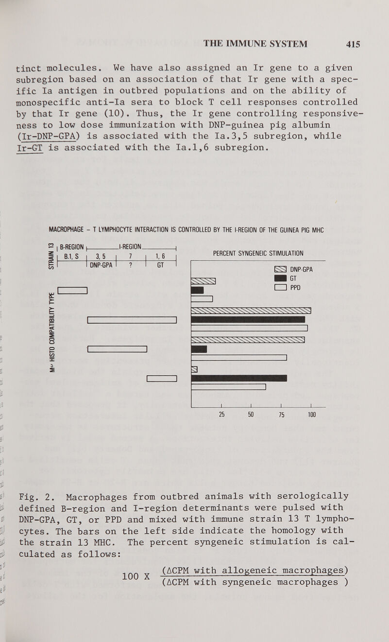 THE IMMUNE SYSTEM 415 tinct molecules. We have also assigned an Ir gene to a given subregion based on an association of that Ir gene with a spec¬ ific la antigen in outbred populations and on the ability of monospecific anti-la sera to block T cell responses controlled by that Ir gene (10). Thus, the Ir gene controlling responsive¬ ness to low dose immunization with DNP-guinea pig albumin (Ir-DNP-GPA) is associated with the la.3,5 subregion, while Ir-GT is associated with the la.1,6 subregion. MACROPHAGE - T LYMPHOCYTE INTERACTION IS CONTROLLED BY THE l-REGION OF THE GUINEA PIG MHC  I B-REGION 1 I B.1, S 3,5 J-REGION 7 I 1,6 ONP-GPA GT in f: s >— <t о PERCENT SYNGENEIC STIMULATION ONP-GPA ■1 GT CZl PPO : ~l 25 50 75 100 Fig. 2. Macrophages from outbred animals with serologically defined B-region and I-region determinants were pulsed with DNP-GPA, GT, or PPD and mixed with immune strain 13 T lympho¬ cytes. The bars on the left side indicate the homology with the strain 13 MHC. The percent syngeneic stimulation is cal¬ culated as follows: 100 X (ДСРМ with allogeneic macrophages) (ЛСРМ with syngeneic macrophages )