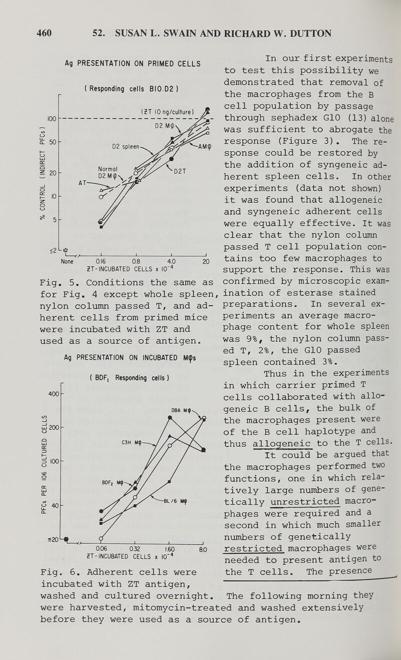 460 52. SUSAN L. SWAIN AND RICHARD W. DUTTON 100 о о: 50 о ^ 20 о or <2 Ag PRESENTATION ON PRIMED CELLS ( Responding cells BI0.D2 ) (ZT 10 ng/culture) 02 Мфч 02 spleen None 016 08 4.0 20 Fig. 5. ZT-INCUBATED CELLS x IO'' Conditions the same as In our first experiments to test this possibility we demonstrated that removal of the macrophages from the В cell population by passage through sephadex GIO (13) alone was sufficient to abrogate the response (Figure 3). The re¬ sponse could be restored by the addition of syngeneic ad¬ herent spleen cells. In other experiments (data not shown) it was found that allogeneic and syngeneic adherent cells were equally effective. It was clear that the nylon column passed T cell population con¬ tains too few macrophages to support the response. This was confirmed by microscopic exam- for Fig, 4 except whole spleen, ination of esterase stained nylon coliamn passed T, and ad¬ herent cells from primed mice were incubated with ZT and used as a source of antigen. Ag PRESENTATION ON INCUBATED M(ps ( BDF, Responding cells ) 400 1200 100 a: LÜ Q_ (/> 40 s 20 DBA Мф^ C3H Mf BDF, Mf BL/6 Mf 006 032 1.60 -1-4 8.0 preparations. In several ex¬ periments an average macro¬ phage content for whole spleen was 9%, the nylon column pass¬ ed T, 2%, the GIO passed spleen contained 3%. Thus in the experiments in which carrier primed T cells collaborated with allo¬ geneic В cells, the bulk of the macrophages present were of the В cell haplotype and thus allogeneic to the T cells. It could be argued that the macrophages performed two functions, one in which rela¬ tively large numbers of gene¬ tically unrestricted macro¬ phages were required and a second in which much smaller numbers of genetically restricted macrophages were needed to present antigen to the T cells. The presence ZT-INCUBATED CELLS x 10 Fig. 6. Adherent cells were incubated with ZT antigen, ' washed and cultured overnight. The following morning they were harvested, mitomycin-treated and washed extensively before they were used as a source of antigen.