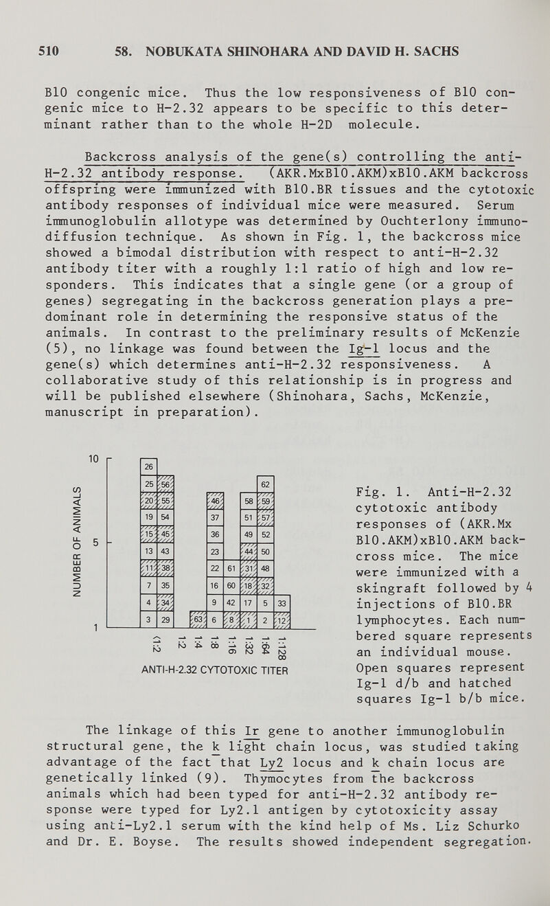 510 58. NOBUKATA SHINOHARA AND DAVID H. SACHS Bio congenie mice. Thus the low responsiveness of BIO con¬ genie mice to H-2.32 appears to be specific to this deter¬ minant rather than to the whole H-2D molecule. Backcross analysis of the gene(s) controlling the anti- H-2.32 antibody response. (AKR.MxBlO.AKM)xBlO.AKM backcross offspring were immunized with BIO.BR tissues and the cytotoxic antibody responses of individual mice were measured. Serum immunoglobulin allotype was determined by Ouchterlony immuno¬ diffusion technique. As shown in Fig. 1, the backcross mice showed a bimodal distribution with respect to anti-H-2.32 antibody titer with a roughly 1:1 ratio of high and low re- sponders. This indicates that a single gene (or a group of genes) segregating in the backcross generation plays a pre¬ dominant role in determining the responsive status of the animals. In contrast to the preliminary results of McKenzie (5), no linkage was found between the Ig-l locus and the gene(s) which determines anti-H-2.32 responsiveness. A collaborative study of this relationship is in progress and will be published elsewhere (Shinohara, Sachs, McKenzie, manuscript in preparation). 10 СЛ -J < 2 < LL О ОС LU CO ho N) 4^ 00 S го 2 й ANTI-H-2.32 CYTOTOXIC TITER Fig. 1. Anti-H-2.32 cytotoxic antibody responses of (AKR.Mx BlO.AKM)xBlO.AKM back- cross mice. The mice were immunized with a skingraft followed by 4 injections of BIO.BR lymphocytes. Each num¬ bered square represents an individual mouse. Open squares represent Ig-l d/b and hatched squares Ig-l b/b mice. The linkage of this Ir gene to another immunoglobulin structural gene, the к light chain locus, was studied taking advantage of the fact that Ly2 locus and к chain locus are genetically linked (9). Thymocytes from the backcross animals which had been typed for anti-H-2.32 antibody re¬ sponse were typed for Ly2.1 antigen by cytotoxicity assay using anti-Ly2.1 serum with the kind help of Ms. Liz Schurko and Dr. E. Boyse. The results showed independent segregation.