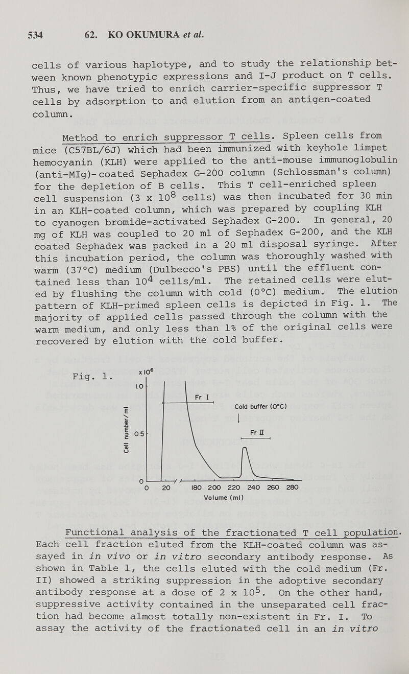 534 62. KO OKUMUIIA et al. cells of various haplotype, and to study the relationship bet¬ ween known phenotypic expressions and I-J product on T cells. Thus, we have tried to enrich carrier-specific suppressor T cells by adsorption to and elution from an antigen-coated со1гшт. Method to enrich suppressor T cells. Spleen cells from mice (C57BL/6J) which had been immunized with keyhole limpet hemocyanin (KLH) were applied to the anti-mouse immunoglobulin (anti-MIg)-coated Sephadex G-2Ò0 column (Schlossman's column) for the depletion of В cells. This T cell-enriched spleen cell suspension (3 x 10® cells) was then incubated for 30 min in an KLH-coated column, which was prepared by coupling KLH to cyanogen bromide-activated Sephadex G-200. In general, 20 mg of KLH was coupled to 20 ml of Sephadex G-200, and the KLH coated Sephadex was packed in a 20 ml disposal syringe. After this incubation period, the column was thoroughly washed with warm (37°C) medium (Dulbecco's PBS) until the effluent con¬ tained less than 10^ cells/ml. The retained cells were elut- ed by flushing the column with cold (0°C) medium. The elution pattern of KLH-primed spleen cells is depicted in Fig. 1. The majority of applied cells passed through the column with the warm mediimi, and only less than 1% of the original cells were recovered by elution with the cold buffer. Fig. 1, E \ W Ü E Cold buffer (0°C) 0 20 180 200 220 240 260 280 Volume (ml) Functional analysis of the fractionated T cell population. Each cell fraction eluted from the KLH-coated colxjmn was as¬ sayed in in vivo or in vitro secondary antibody response. As shown in Table 1, the cells eluted with the cold medium (Fr. II) showed a striking suppression in the adoptive secondary antibody response at a dose of 2 x 10^. On the other hand, suppressive activity contained in the unseparated cell frac¬ tion had become almost totally non-existent in Fr. I. To assay the activity of the fractionated cell in an in vitro