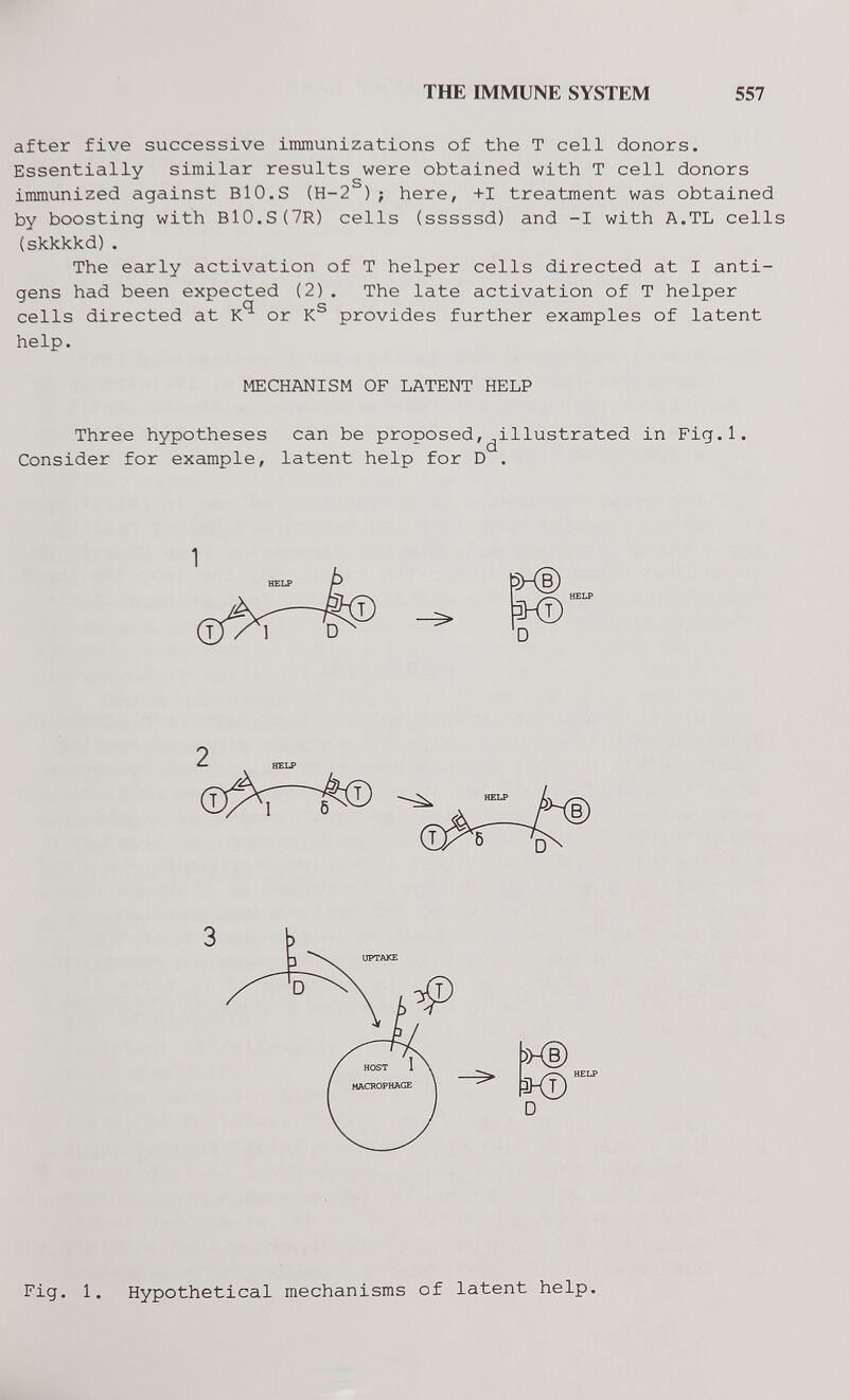 THE IMMUNE SYSTEM 557 after five successive immunizations of the T cell donors. Essentially similar results were obtained with T cell donors immunized against BIO.S (Н-2 ); here, +I treatment was obtained by boosting with B10.S(7R) cells (sssssd) and -I with A.TL cells (skkkkd). The early activation of T helper cells directed at I anti¬ gens had been expected (2). The late activation of T helper О e cells directed at К or К provides further examples of latent help. MECHANISM OF LATENT HELP Three hypotheses can be proposed,^illustrated in Fig.l. Consider for example, latent help for D . 2 HELP 3 »(D D Fig. 1. Hypothetical mechanisms of latent help.