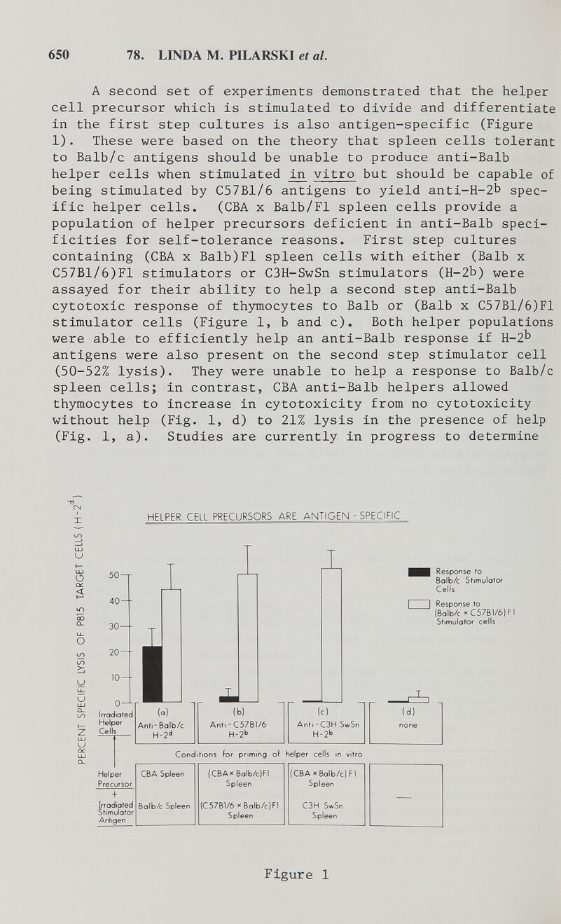 650 78. LINDA M. PILARSKI et al. A second set of experiments demonstrated that the helper cell precursor which is stimulated to divide and differentiate in the first step cultures is also antigen-specific (Figure 1). These were based on the theory that spleen cells tolerant to Balb/c antigens should be unable to produce anti-Balb helper cells when stimulated vitro but should be capable of being stimulated by C57B1/6 antigens to yield anti-H-2b spec¬ ific helper cells. (CBA x Balb/Fl spleen cells provide a population of helper precursors deficient in anti-Balb speci¬ ficities for self-tolerance reasons. First step cultures containing (CBA x Balb)Fl spleen cells with either (Balb x C57B1/6)F1 stimulators or C3H-SwSn stimulators (H-2b) were assayed for their ability to help a second step anti-Balb cytotoxic response of thymocytes to Balb or (Balb x C57B1/6)F1 stimulator cells (Figure 1, b and c). Both helper populations were able to efficiently help an anti-Balb response if H-2b antigens were also present on the second step stimulator cell (50-52% lysis). They were unable to help a response to Balb/c spleen cells; in contrast, CBA anti-Balb helpers allowed thjmiocytes to increase in cytotoxicity from no cytotoxicity without help (Fig. 1, d) to 21% lysis in the presence of help (Fig. 1, a). Studies are currently in progress to determine X lO Ш U \— Ш о Oí «о ОО Q_ Ll_ О со U LL U ш Û_ ио u Ckí HELPER CELL PRECURSORS ARE ANTIGEN - SPECIFIC Anfi- Balb/c H-2'' (b) Anfi-C57Bl/6 H-2b 1 Anfi -C3H SwSn H-2b Conditions for priming of helper cells in vitro (d) none Response fo 6alb/c Stimulator Cells Response to (Balb/c XC57B1/6) Fl Stimulator cells Figure 1