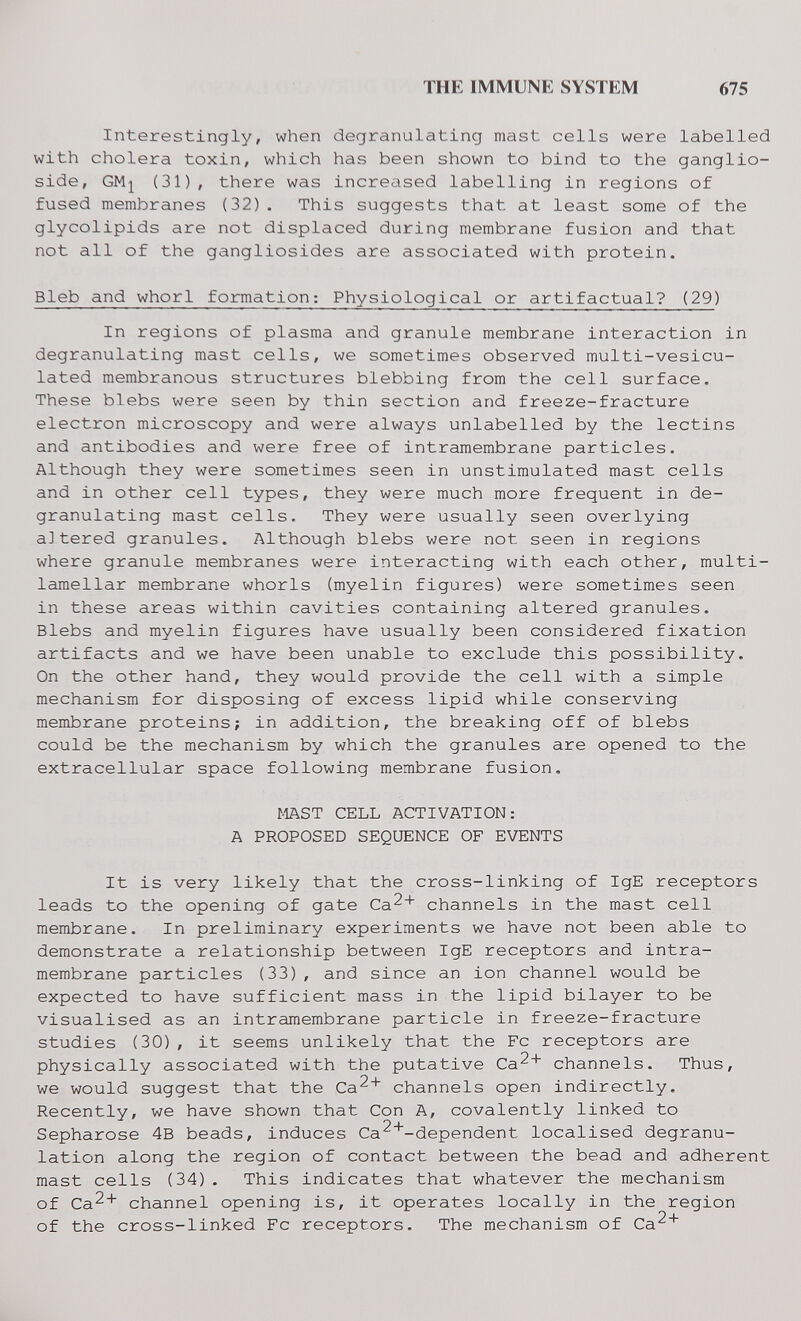 THE IMMUNE SYSTEM 675 Interestingly, when degranulating mast cells were labelled with cholera toxin, which has been shown to bind to the ganglio- side, GM^ (31), there was incre¿ised labelling in regions of fused membranes (32). This suggests that at least some of the glycolipids are not displaced during membrane fusion and that not all of the gangliosides are associated with protein. Bleb and whorl formation: Physiological or artifactual? (29) In regions of plasma and granule membrane interaction in degranulating mast cells, we sometimes observed multi-vesicu- lated membranous structures blebbing from the cell surface. These blebs were seen by thin section and freeze-fracture electron microscopy and were always unlabelled by the lectins and antibodies and were free of intramembrane particles. Although they were sometimes seen in unstimulated mast cells and in other cell types, they were much more frequent in de¬ granulating mast cells. They were usually seen overlying a]tered granules. Although blebs were not seen in regions where granule membranes were interacting with each other, multi¬ lamellar membrane whorls (myelin figures) were sometimes seen in these areas within cavities containing altered granules. Blebs and myelin figures have usually been considered fixation artifacts and we have been unable to exclude this possibility. On the other hand, they would provide the cell with a simple mechanism for disposing of excess lipid while conserving membrane proteins; in addition, the breaking off of blebs could be the mechanism by which the granules are opened to the extracellular space following membrane fusion, MAST CELL ACTIVATION: A PROPOSED SEQUENCE OF EVENTS It is very likely that the cross-linking of IgE receptors leads to the opening of gate Ca2+ channels in the mast cell membrane. In preliminary experiments we have not been able to demonstrate a relationship between IgE receptors and intra¬ membrane particles (33), and since an ion channel would be expected to have sufficient mass in the lipid bilayer to be visualised as an intramembrane particle in freeze-fracture studies (30), it seems unlikely that the Fc receptors are physically associated with the putative Ca^* channels. Thus, we would suggest that the Ca^^ channels open indirectly. Recently, we have shown that Con A, covalently linked to Sepharose 4B beads, induces Са^'''-dependent localised degranu- lation along the region of contact between the bead and adherent mast cells (34). This indicates that whatever the mechanism of Ca^^ channel opening is, it operates locally in the region of the cross-linked Fc receptors. The mechanism of Ca^*
